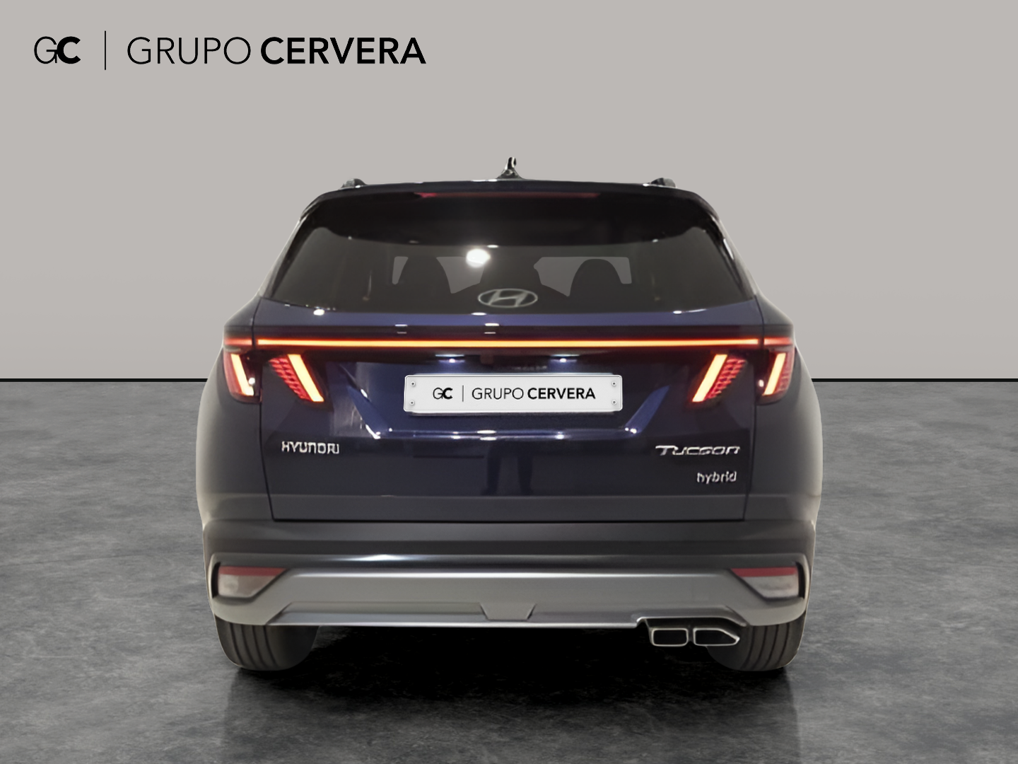 Hyundai Tucson 1.6 T HEV Tecno Sky AT 176 KW (239 CV)