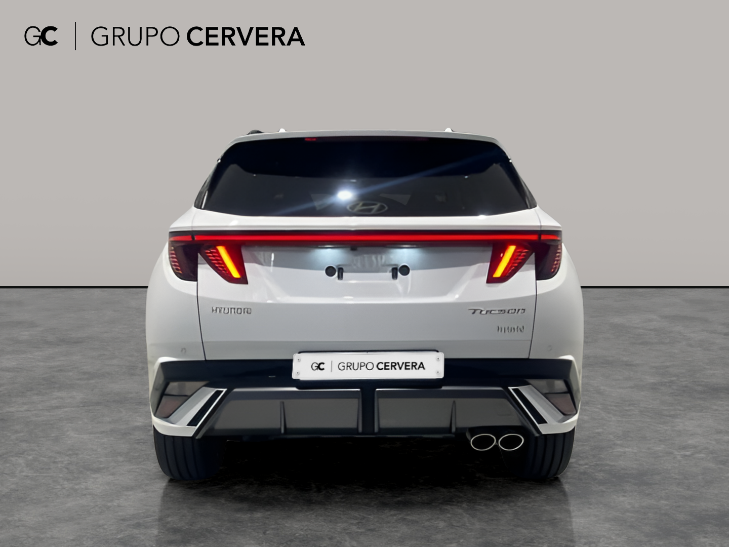 Hyundai Tucson 1.6T HEV N Line Sky AT 176 KW (239 CV)
