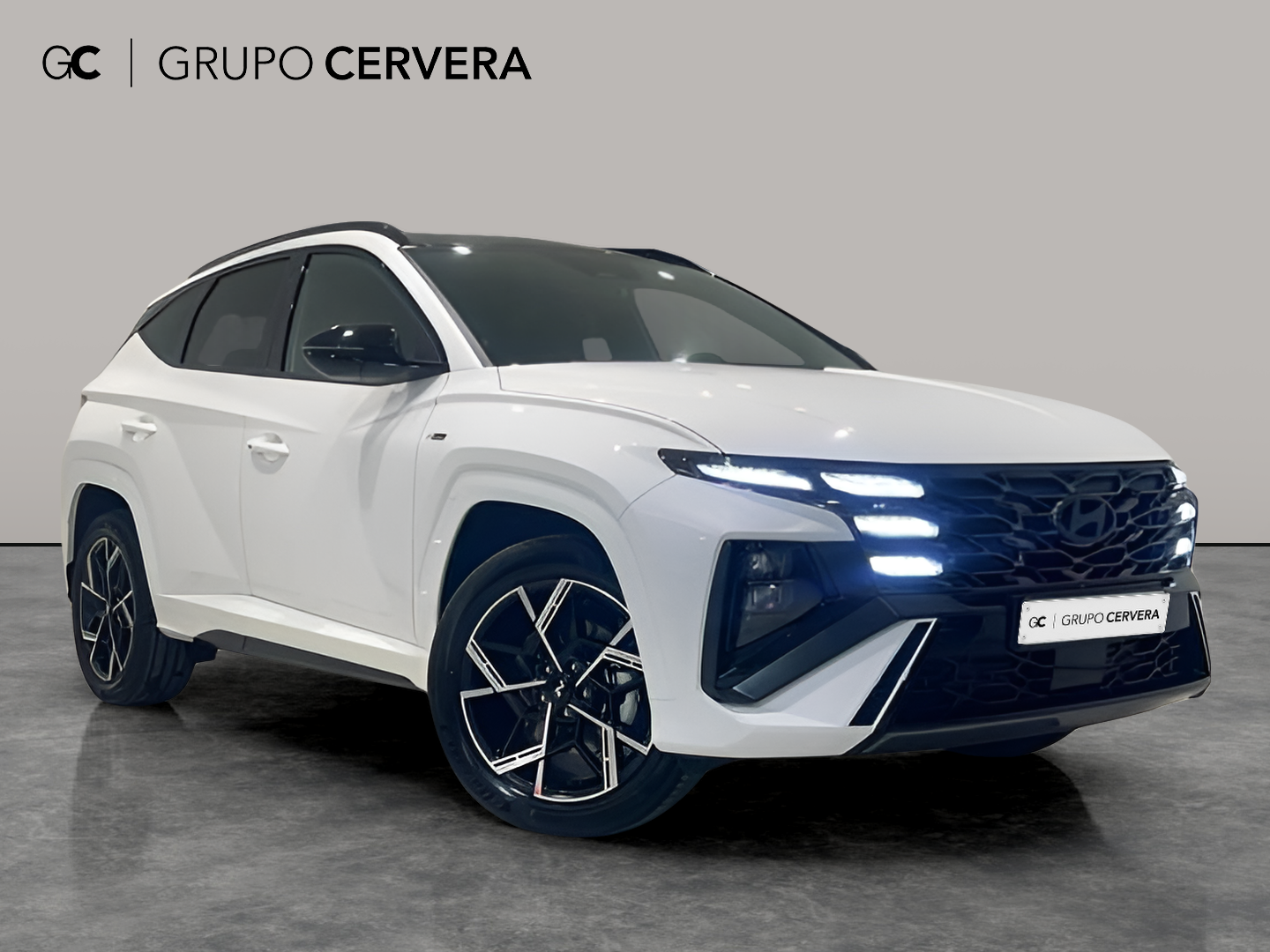 Hyundai Tucson 1.6T HEV N Line Sky AT 176 KW (239 CV)