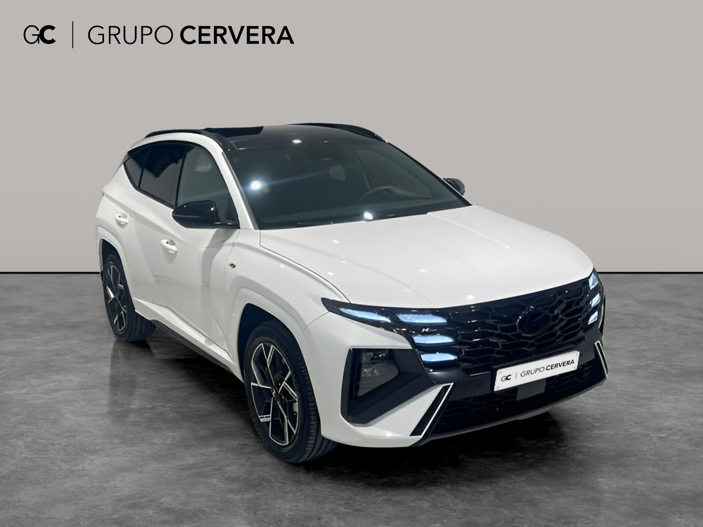 Hyundai Tucson 1.6T HEV N Line Sky AT 176 KW (239 CV)