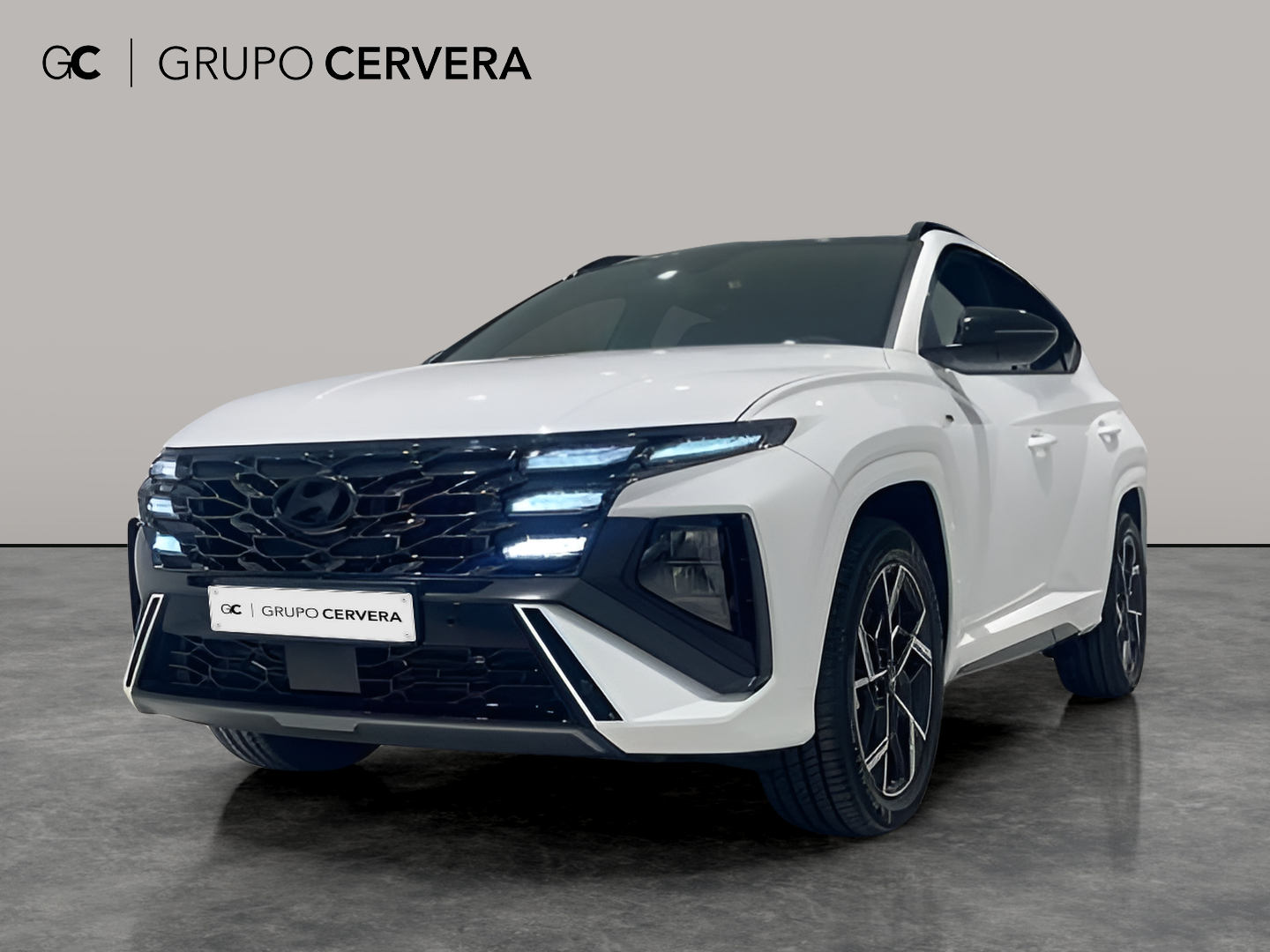 Hyundai Tucson 1.6T HEV N Line Sky AT 176 KW (239 CV)