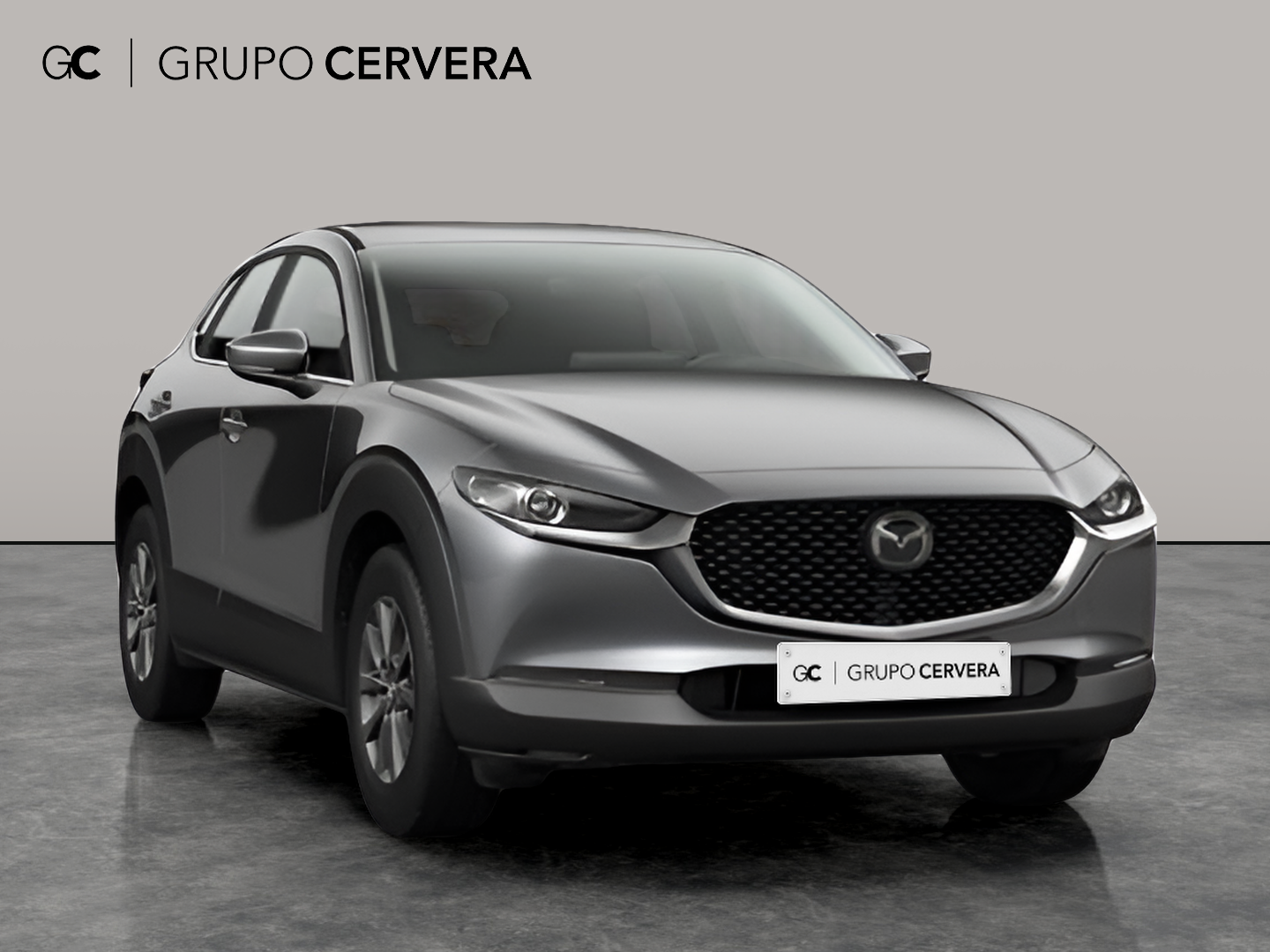 Mazda CX-30 E-SKY G MHEV Prime-line 103 KW (140 CV)