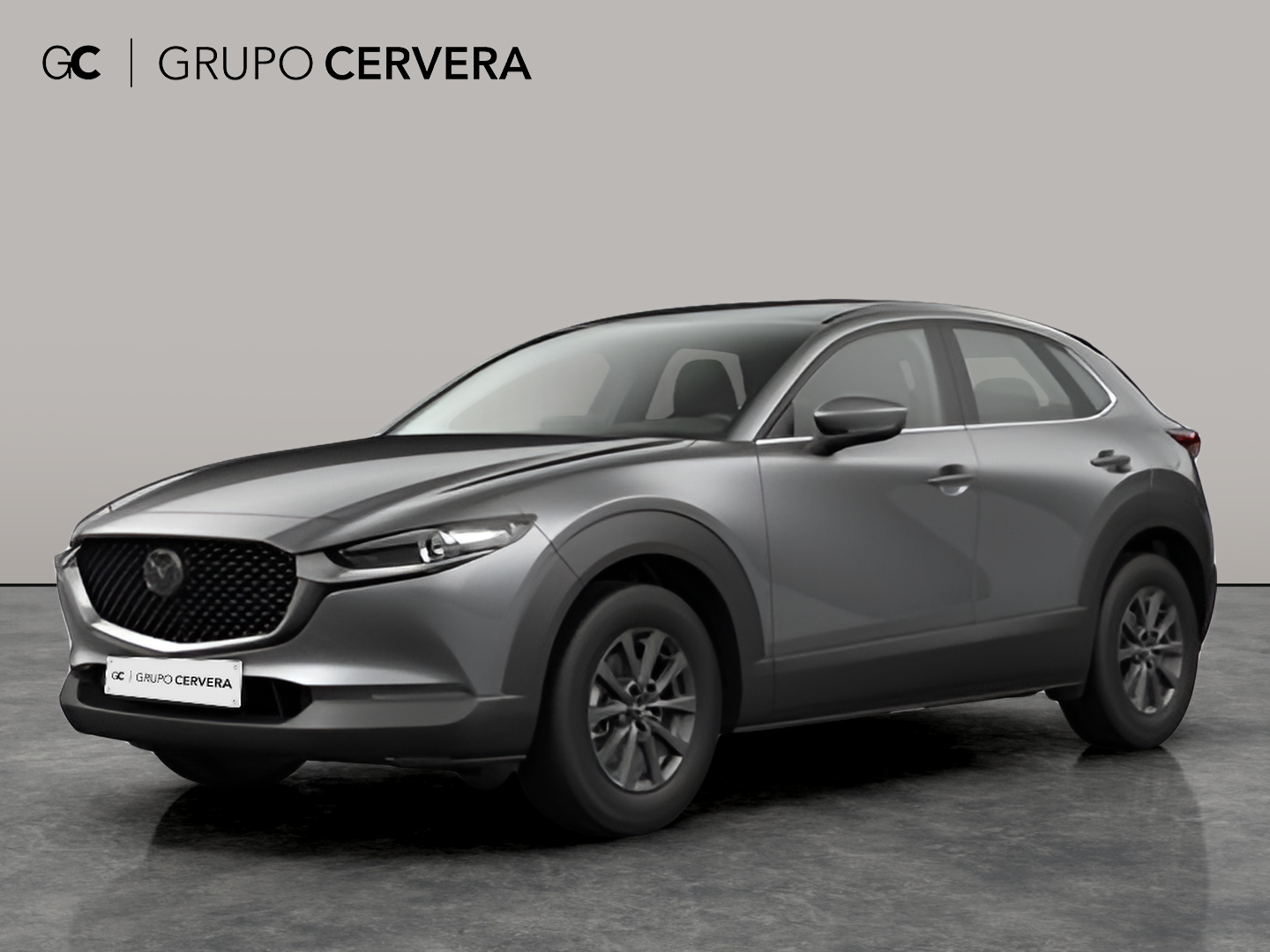 Mazda CX-30 E-SKY G MHEV Prime-line 103 KW (140 CV)