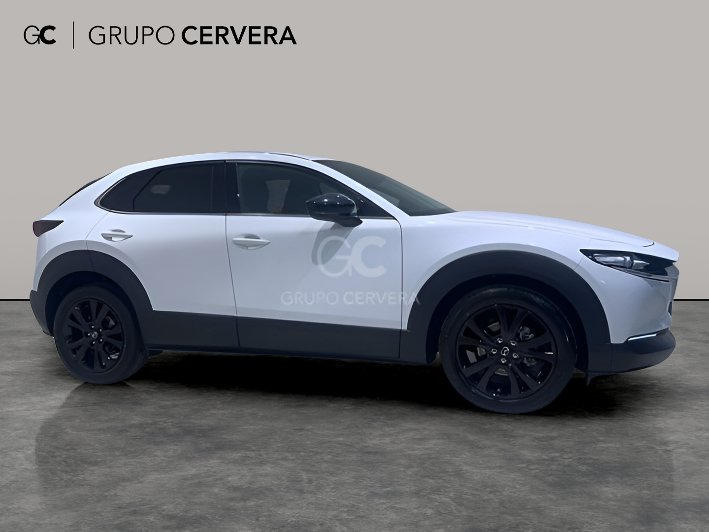 Mazda CX-30 E-SKYACTIV G Homura 103 KW (140 CV)