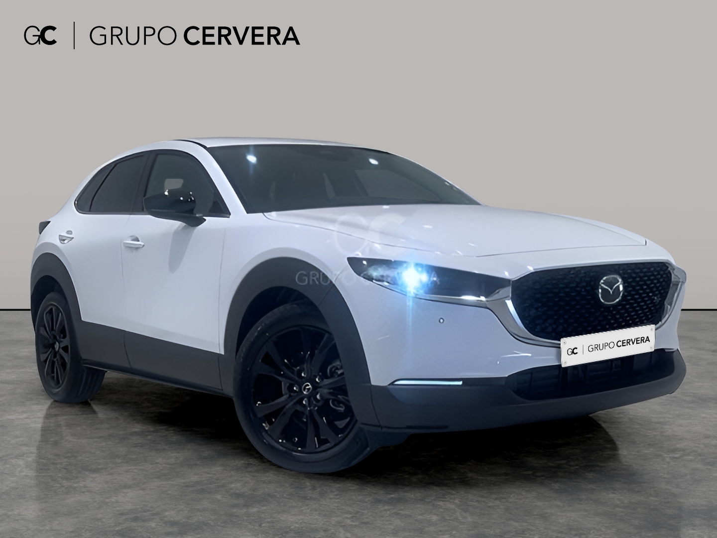 Mazda CX-30 E-SKYACTIV G Homura 103 KW (140 CV)
