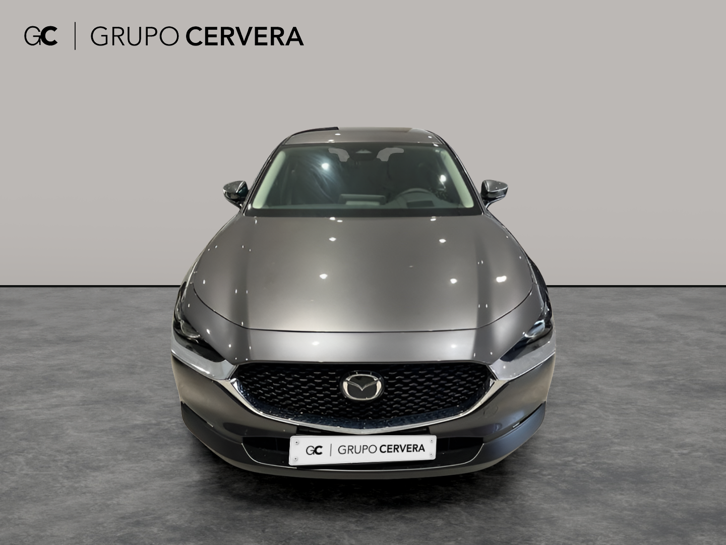 Mazda CX-30 E-SKY G MHEV Prime-line 103 KW (140 CV)