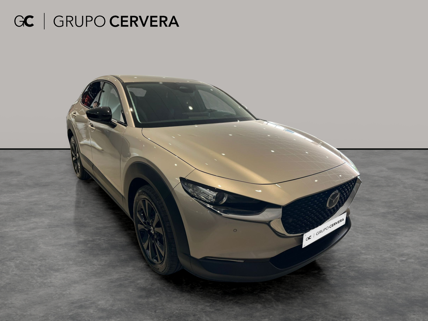 Mazda CX-30 E-SKY G MHEV Homura AT 103 KW (140 CV)