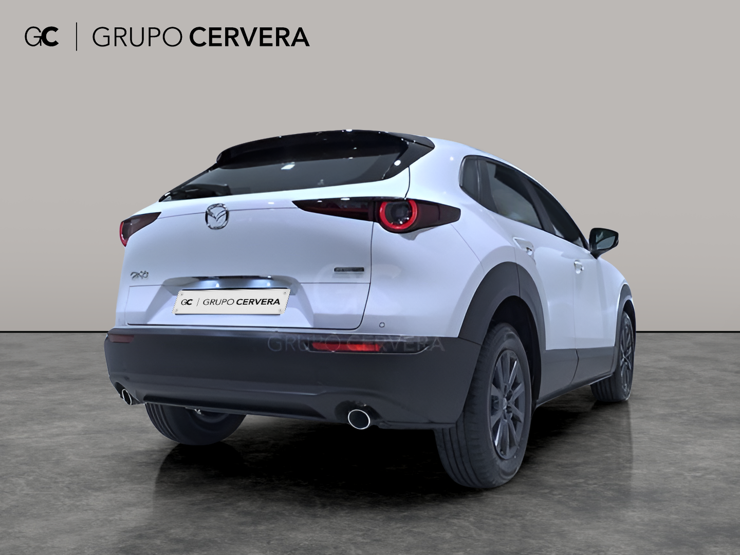 Mazda CX-30 E-SKY G MHEV Prime-line 103 KW (140 CV)