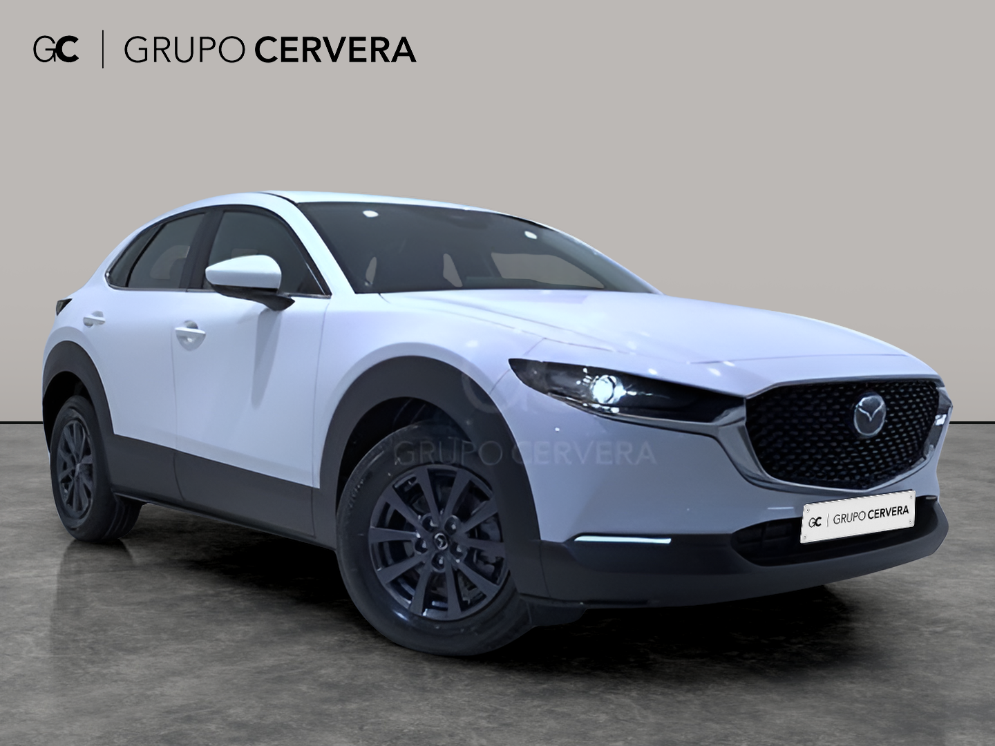 Mazda CX-30 E-SKY G MHEV Prime-line 103 KW (140 CV)