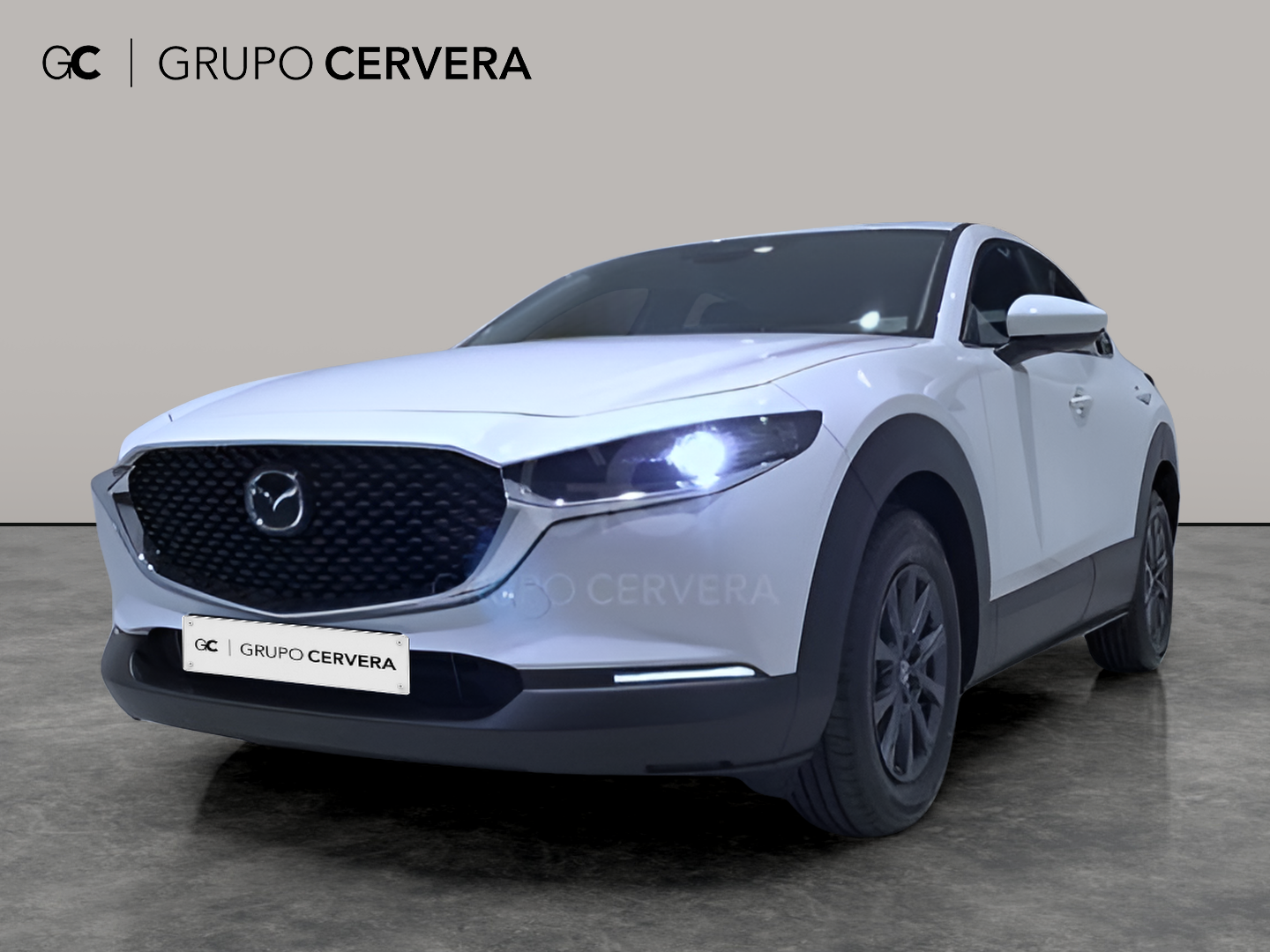 Mazda CX-30 E-SKY G MHEV Prime-line 103 KW (140 CV)
