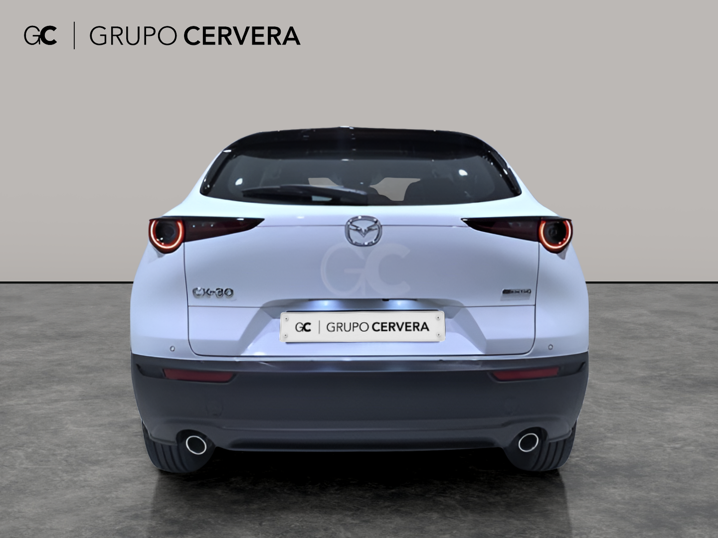 Mazda CX-30 E-SKY G MHEV Prime-line 103 KW (140 CV)