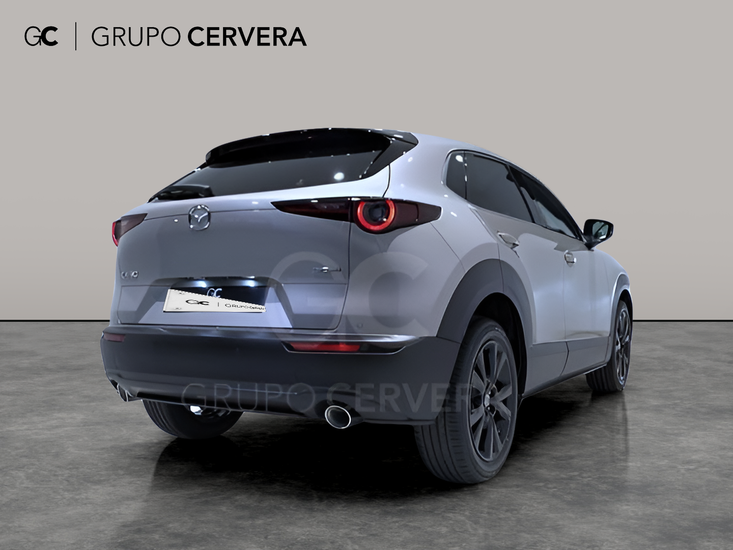 Mazda CX-30 E-SKY X MHEV Homura 2WD 137 KW (186 CV)