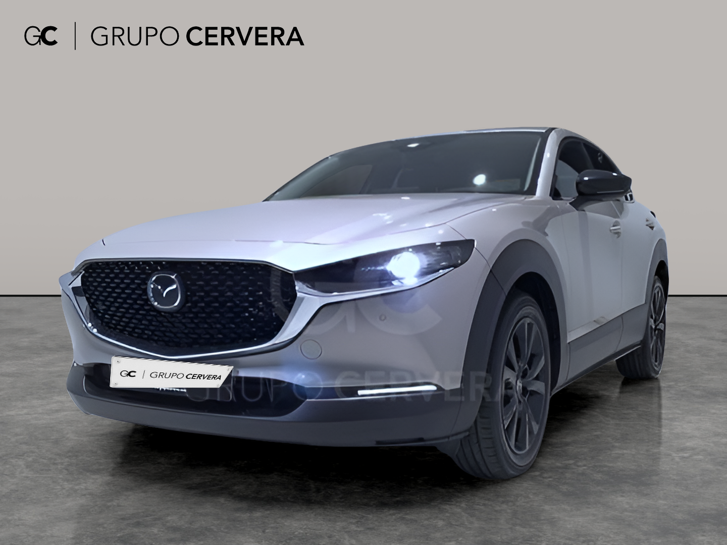 Mazda CX-30 E-SKY X MHEV Homura 2WD 137 KW (186 CV)