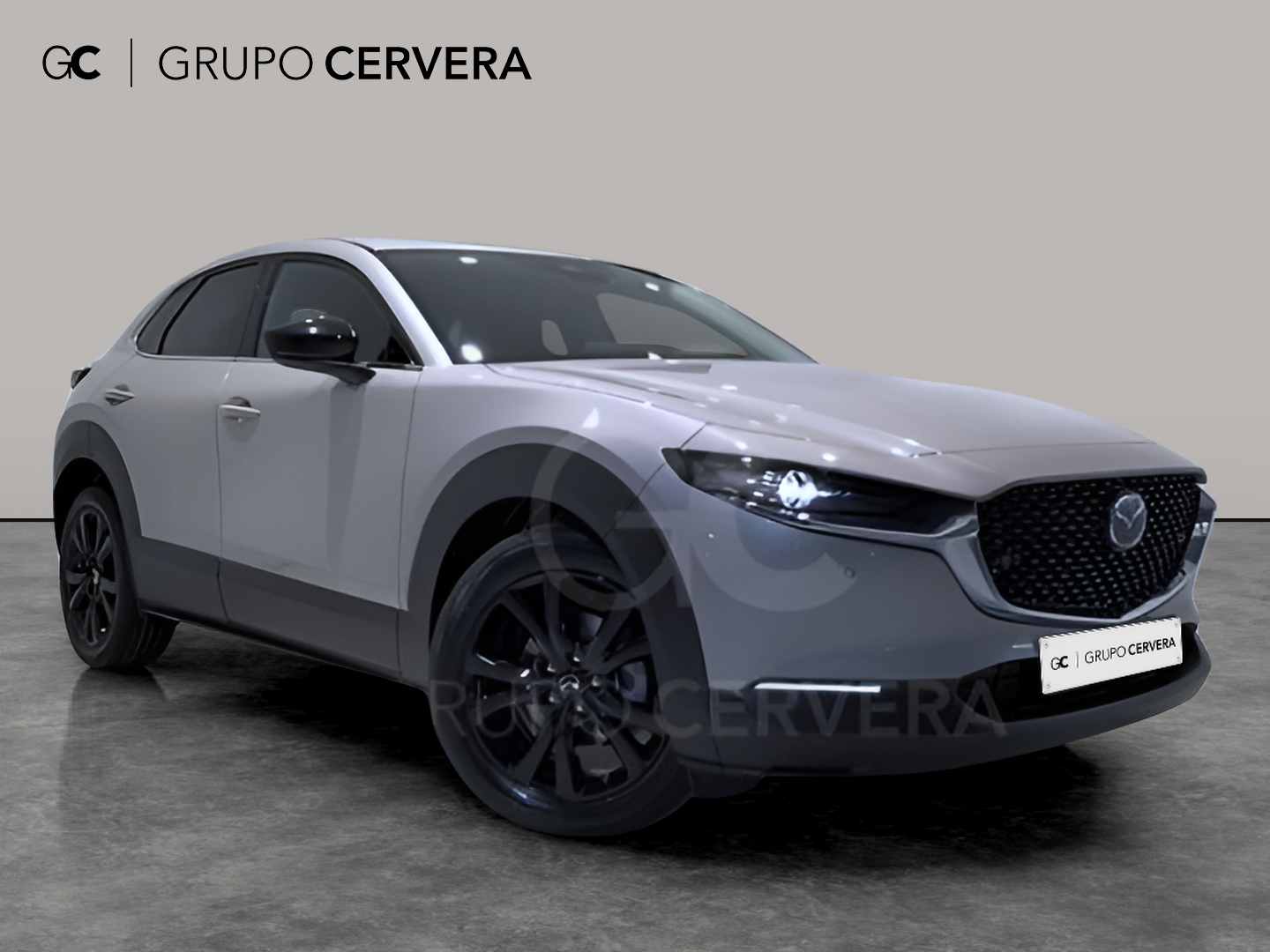 Mazda CX-30 E-SKY X MHEV Homura 2WD 137 KW (186 CV)