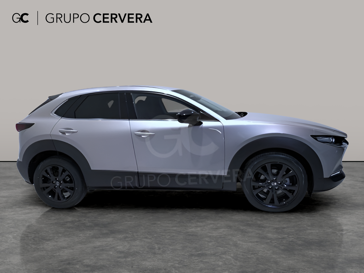 Mazda CX-30 E-SKY X MHEV Homura 2WD 137 KW (186 CV)