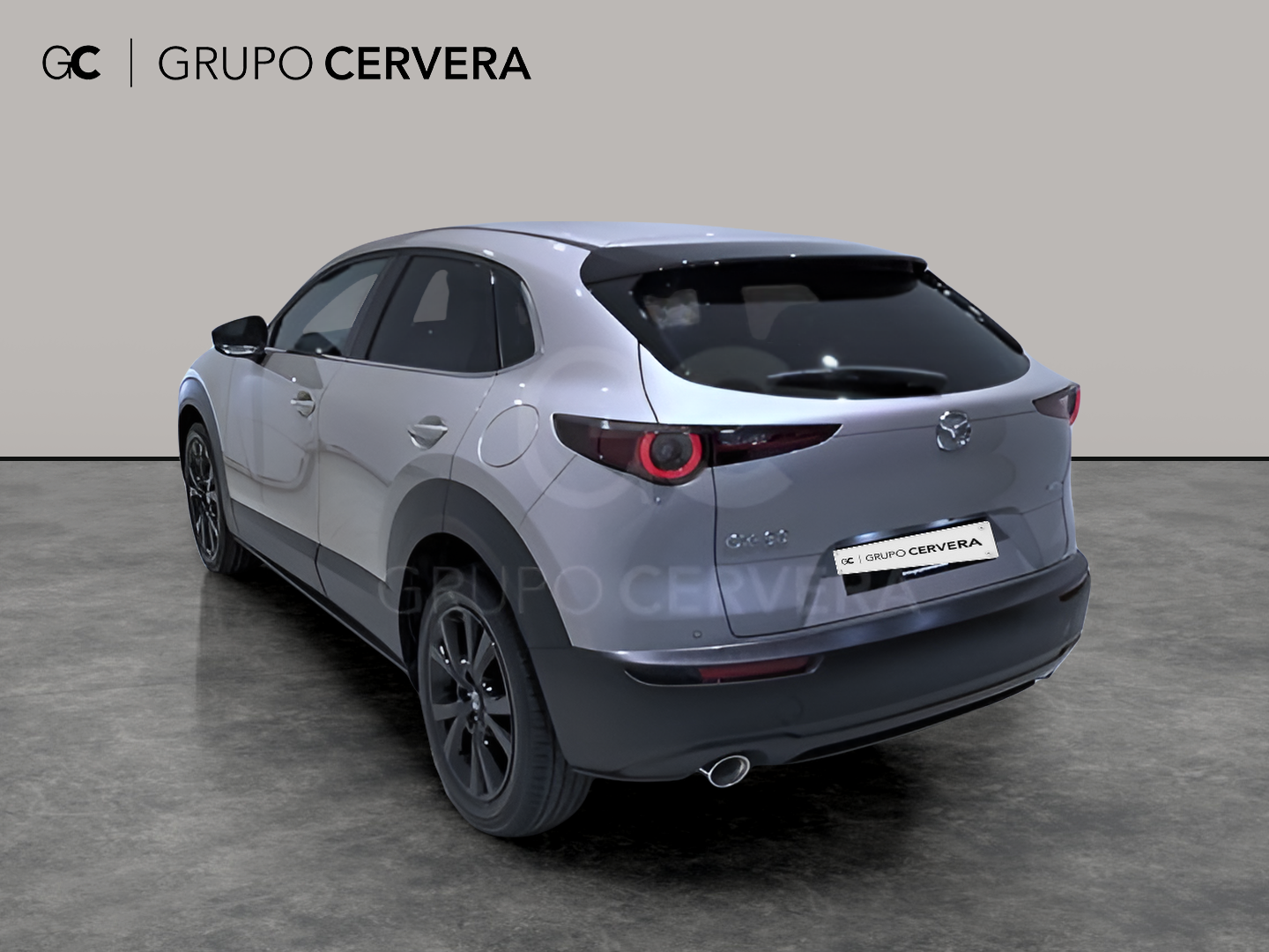 Mazda CX-30 E-SKY X MHEV Homura 2WD 137 KW (186 CV)