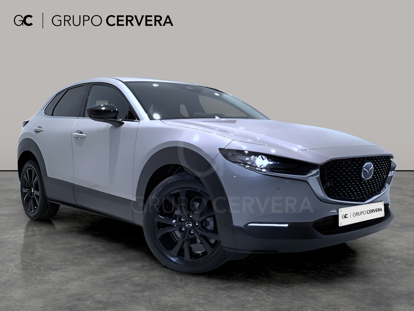 Mazda CX-30 E-SKY X MHEV Homura 2WD 137 KW (186 CV)