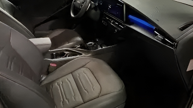 Foto 12 Kia e-Niro Winter Edition 150 kW (204 CV)