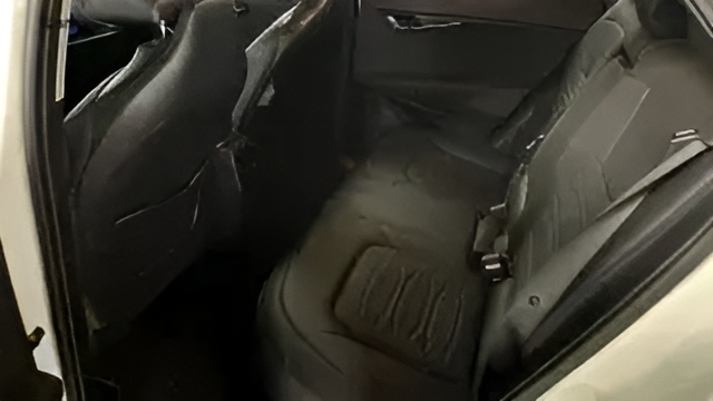 Foto 11 Kia e-Niro Winter Edition 150 kW (204 CV)