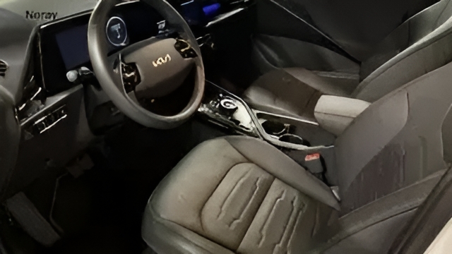 Foto 10 Kia e-Niro Winter Edition 150 kW (204 CV)