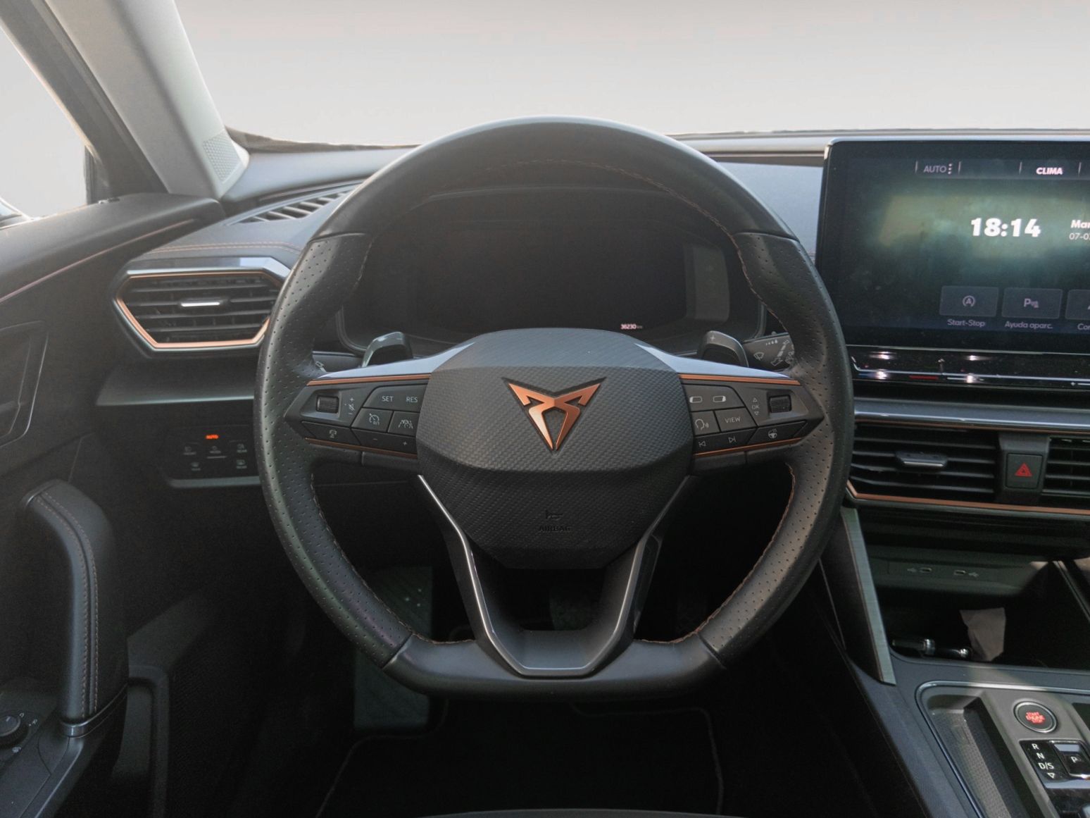 Cupra Formentor 1.5 TSI DSG - foto 9