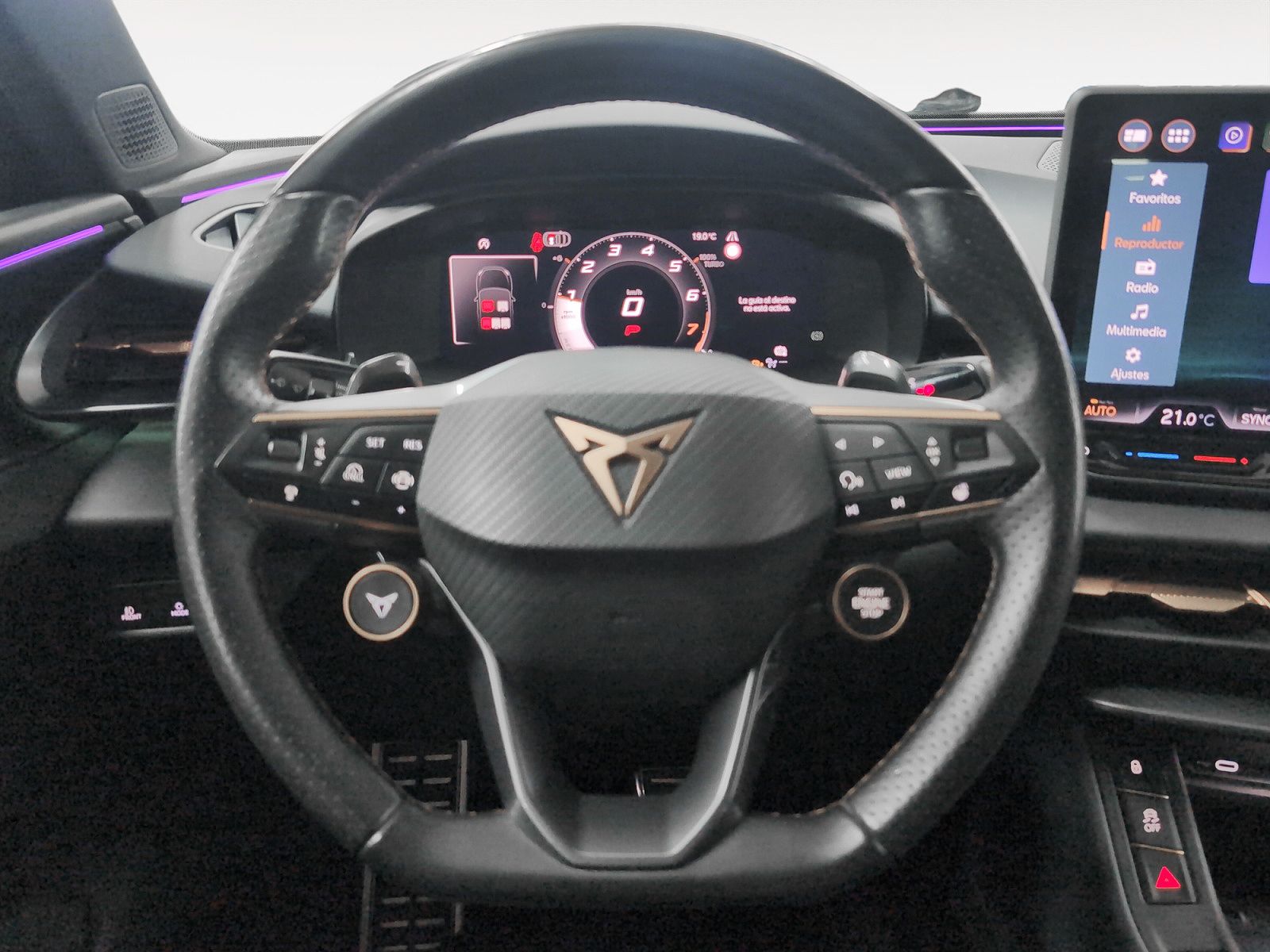 Cupra Terramar 1.5 eTSI DSG - foto 17