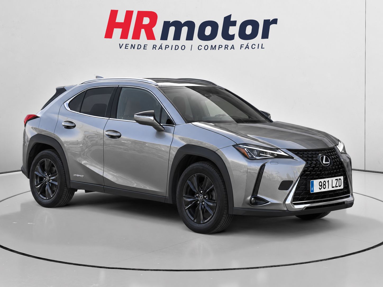 Lexus UX 250h Business 2WD