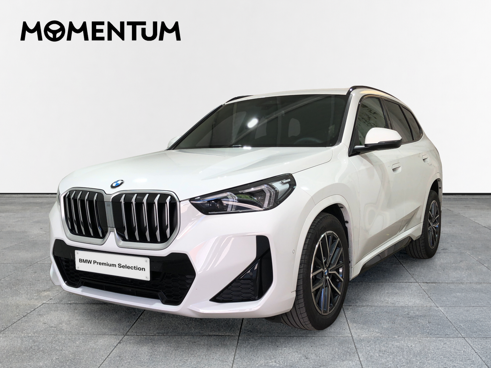 BMW X1 sDrive20d 120 kW (163 CV)