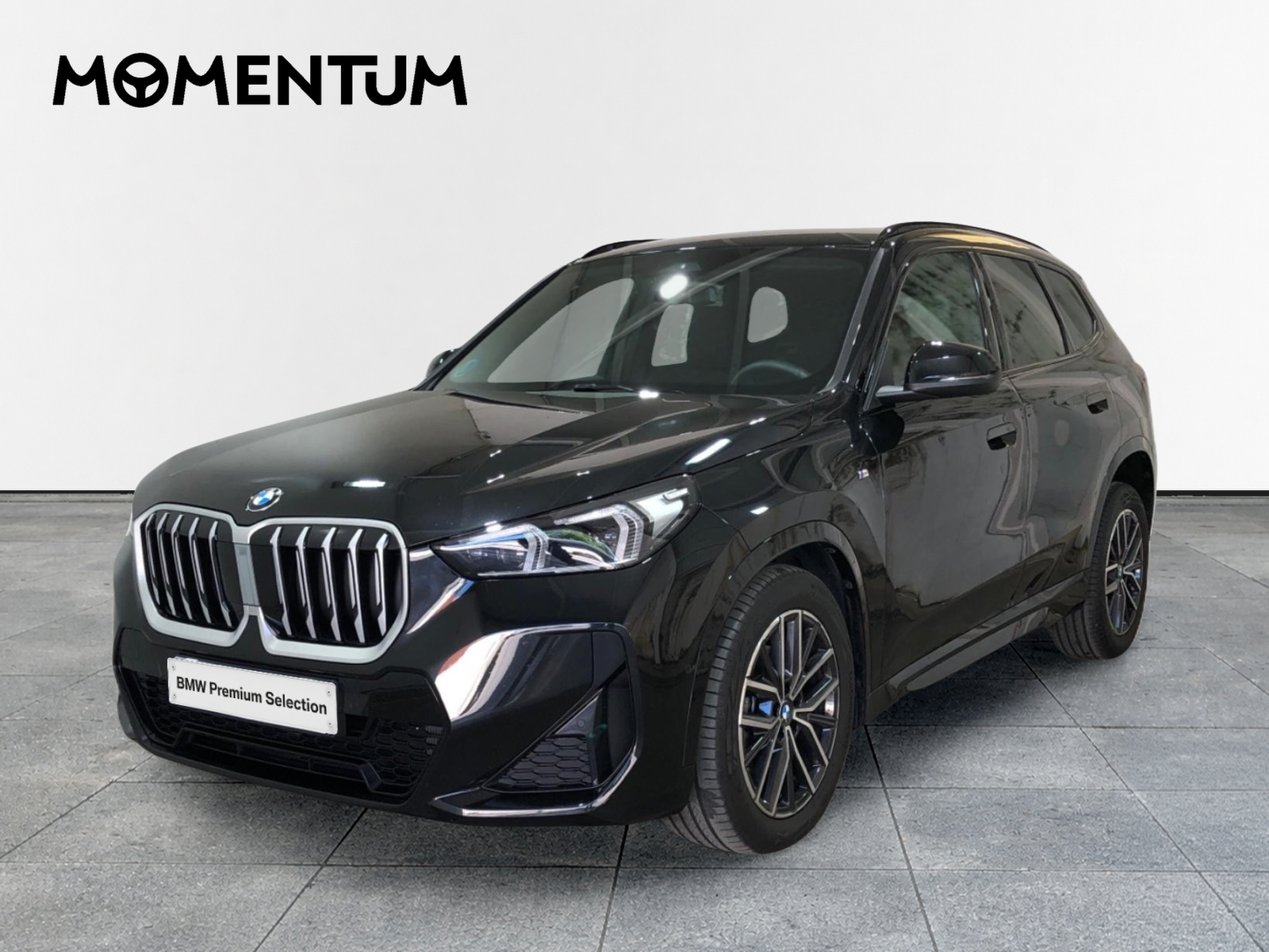 BMW X1 sDrive20d 120 kW (163 CV)
