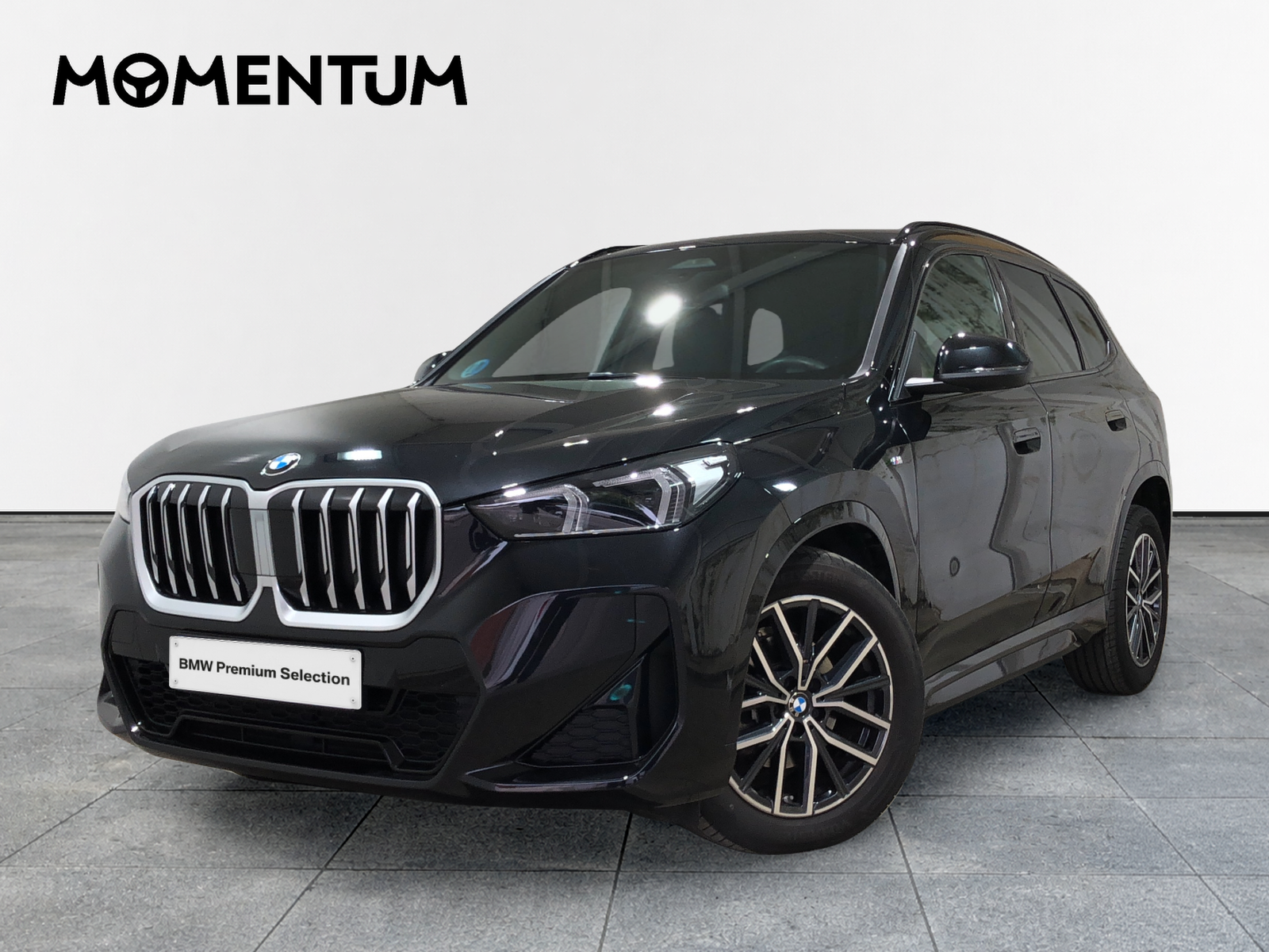 BMW X1 sDrive20d 120 kW (163 CV)