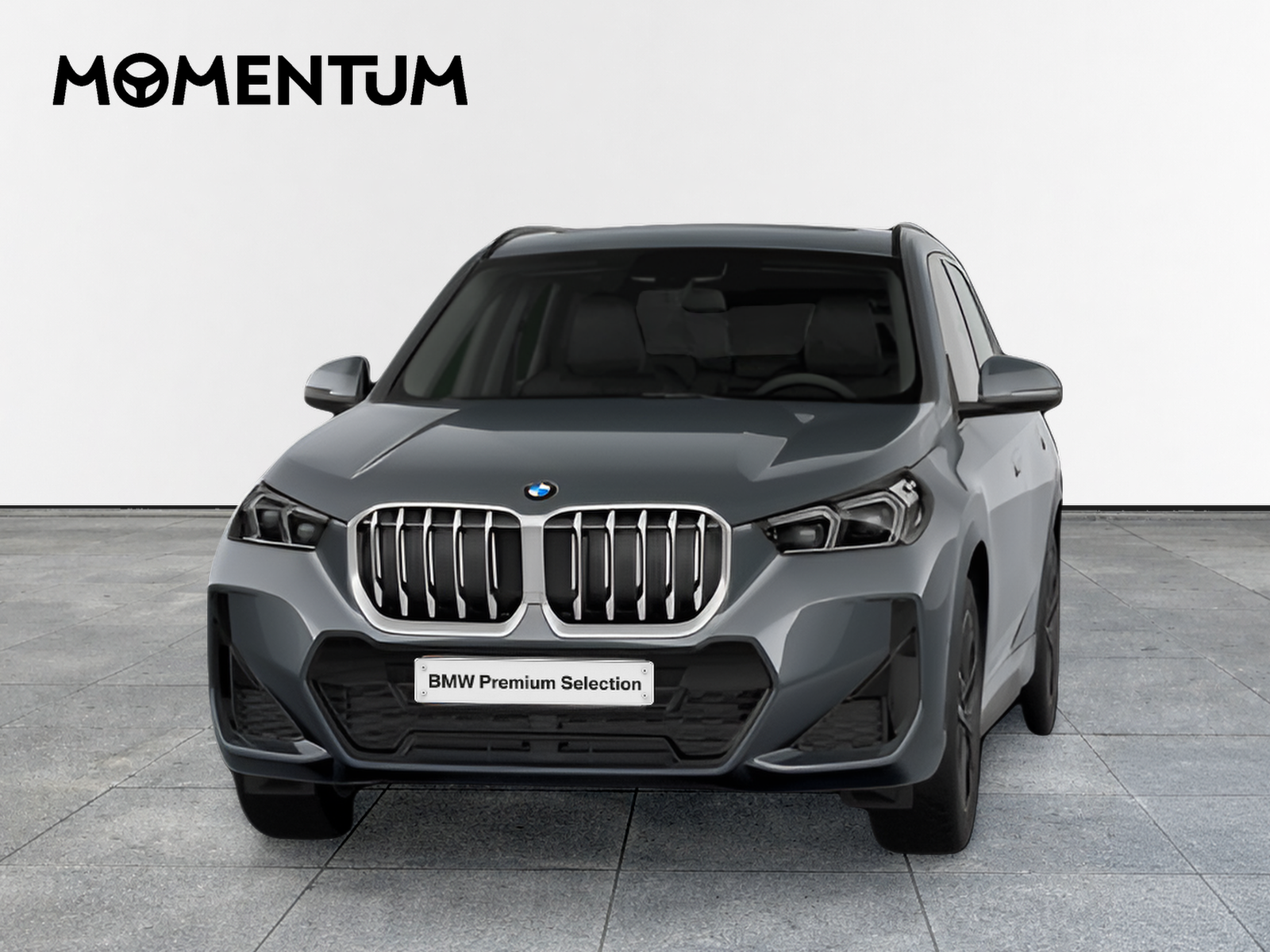 BMW X1 sDrive20d 120 kW (163 CV)