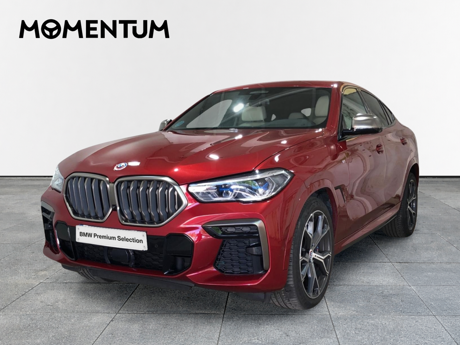 BMW X6 M50i 390 kW (530 CV)