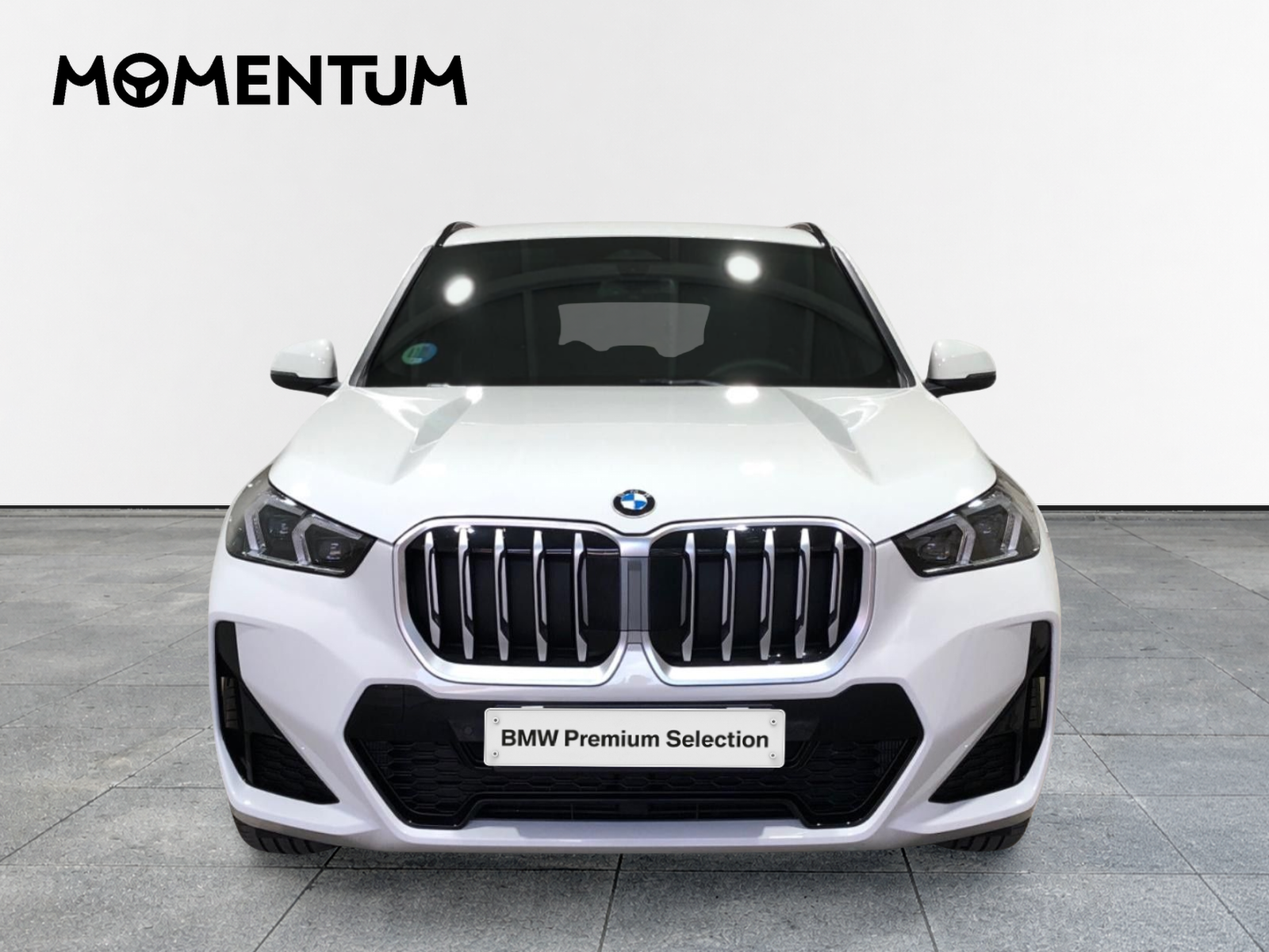 BMW X1 sDrive20d 120 kW (163 CV)