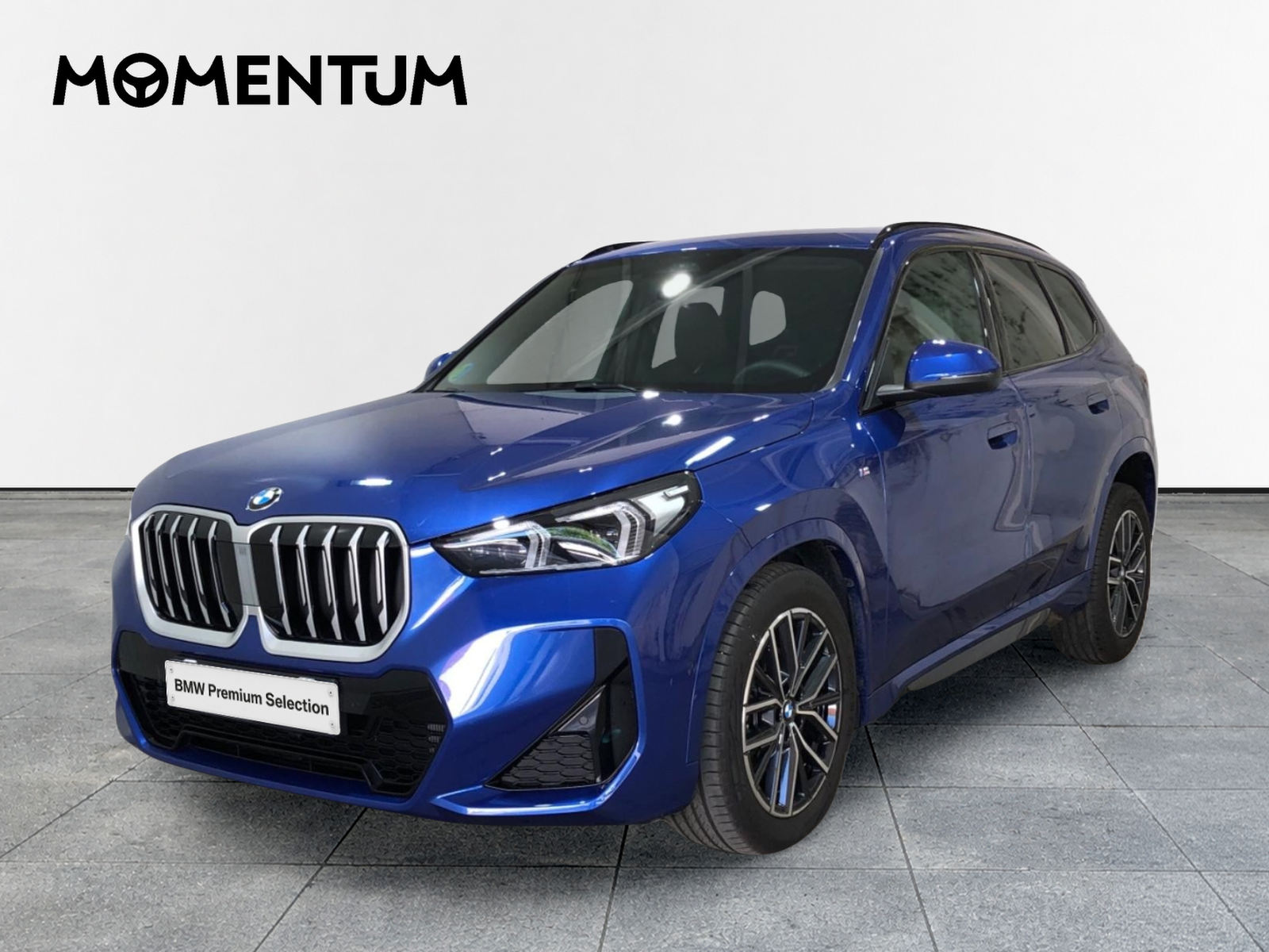 BMW X1 sDrive20d 120 kW (163 CV)