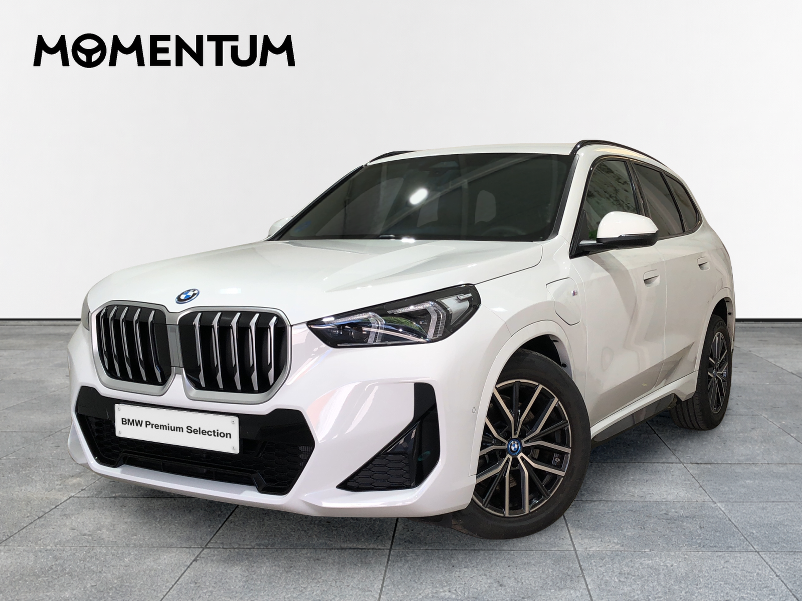 BMW X1 xDrive25e 180 kW (245 CV)