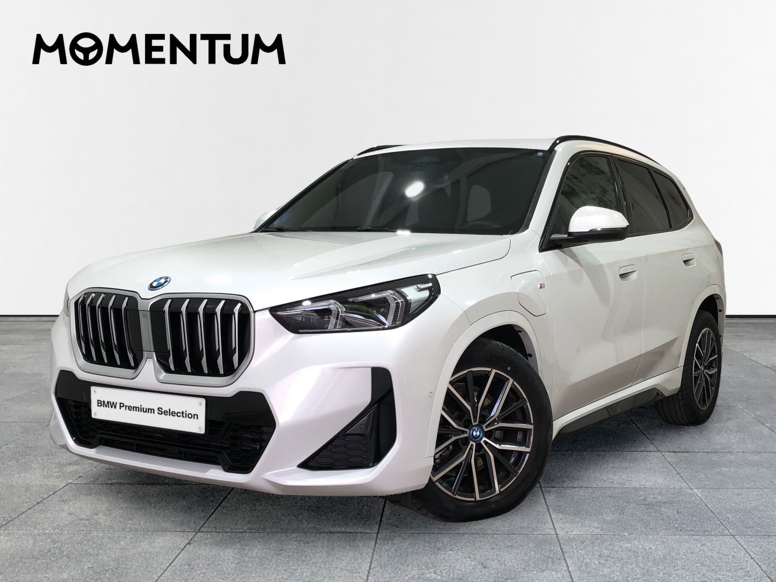 BMW X1 xDrive25e 180 kW (245 CV)