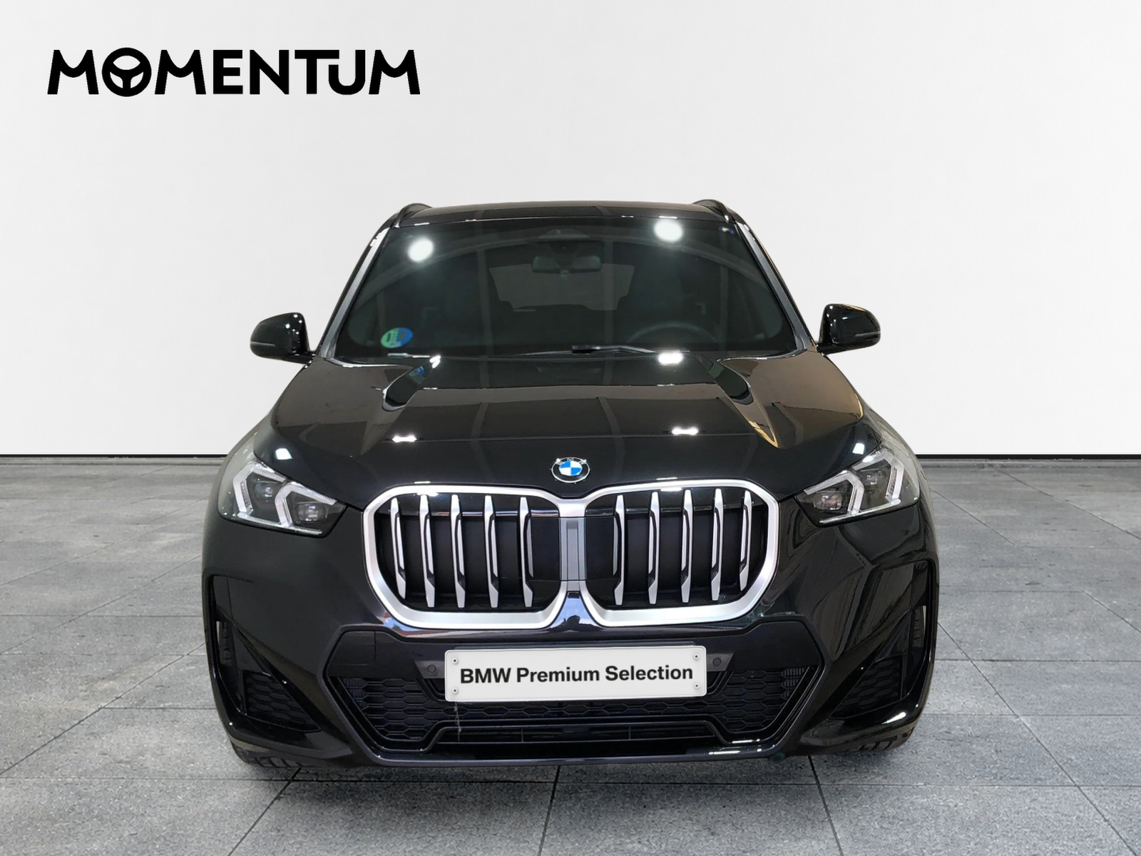 BMW X1 xDrive20d 120 kW (163 CV)
