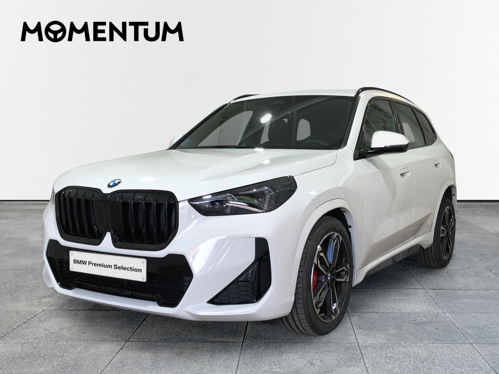 BMW X1 xDrive20d 120 kW (163 CV)