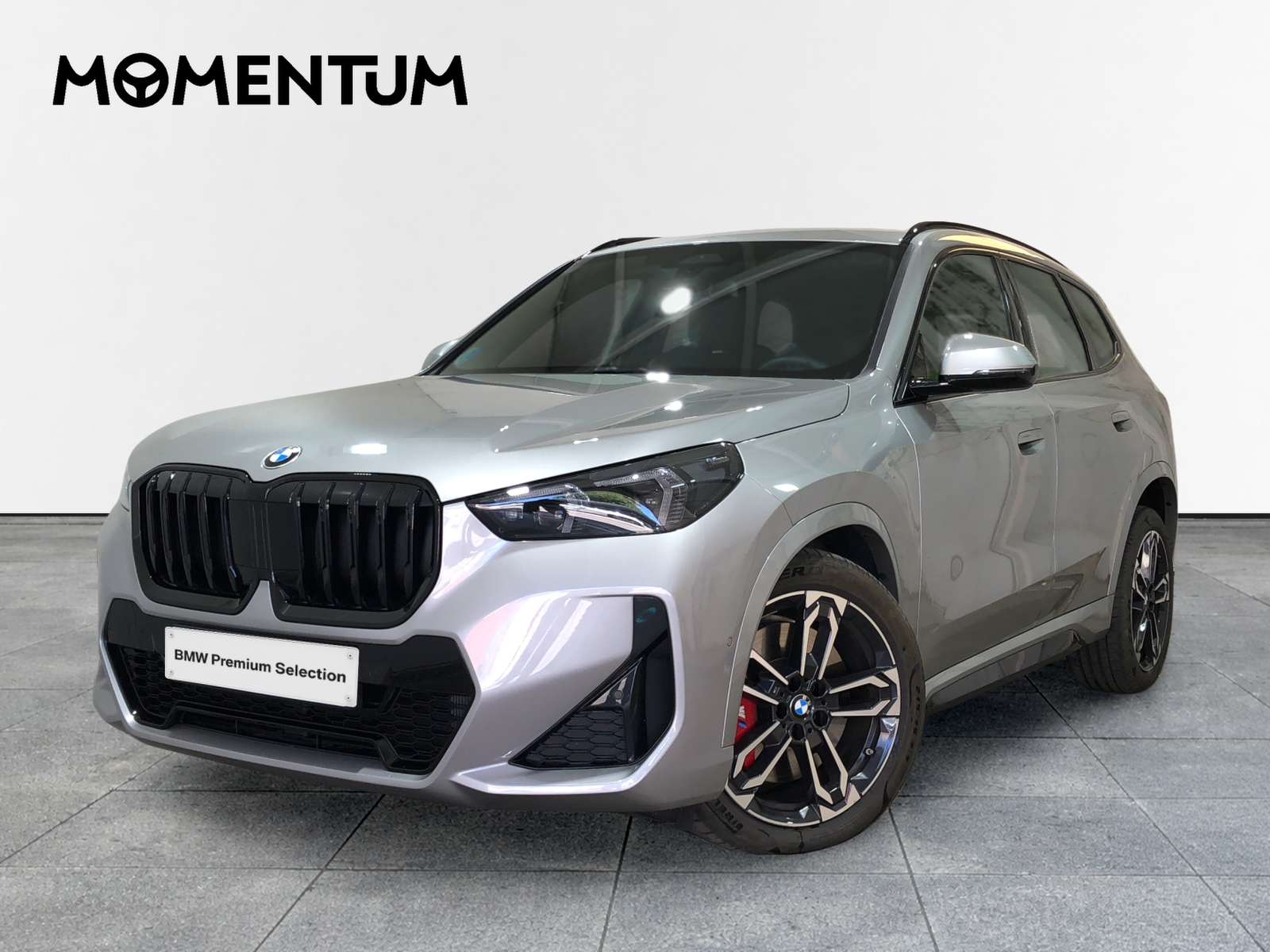 BMW X1 xDrive20d 120 kW (163 CV)