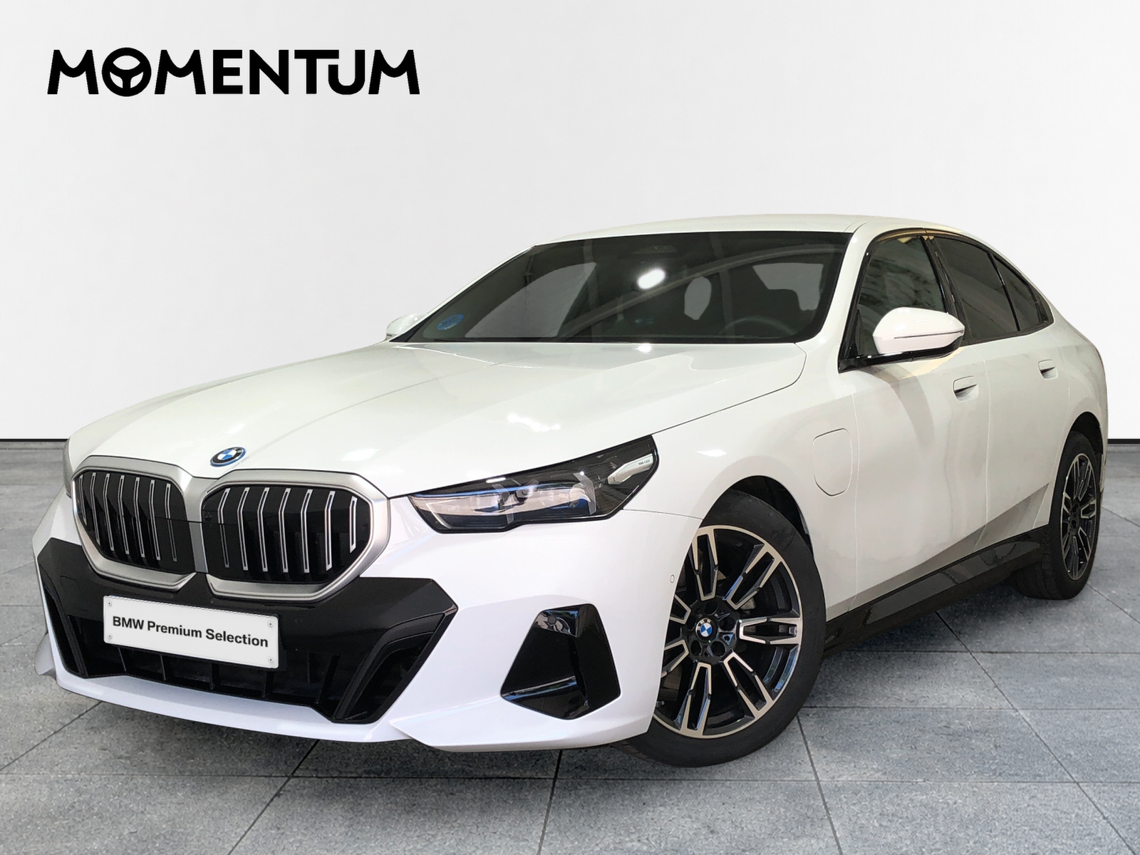 BMW Serie 5 530e 220 kW (299 CV)