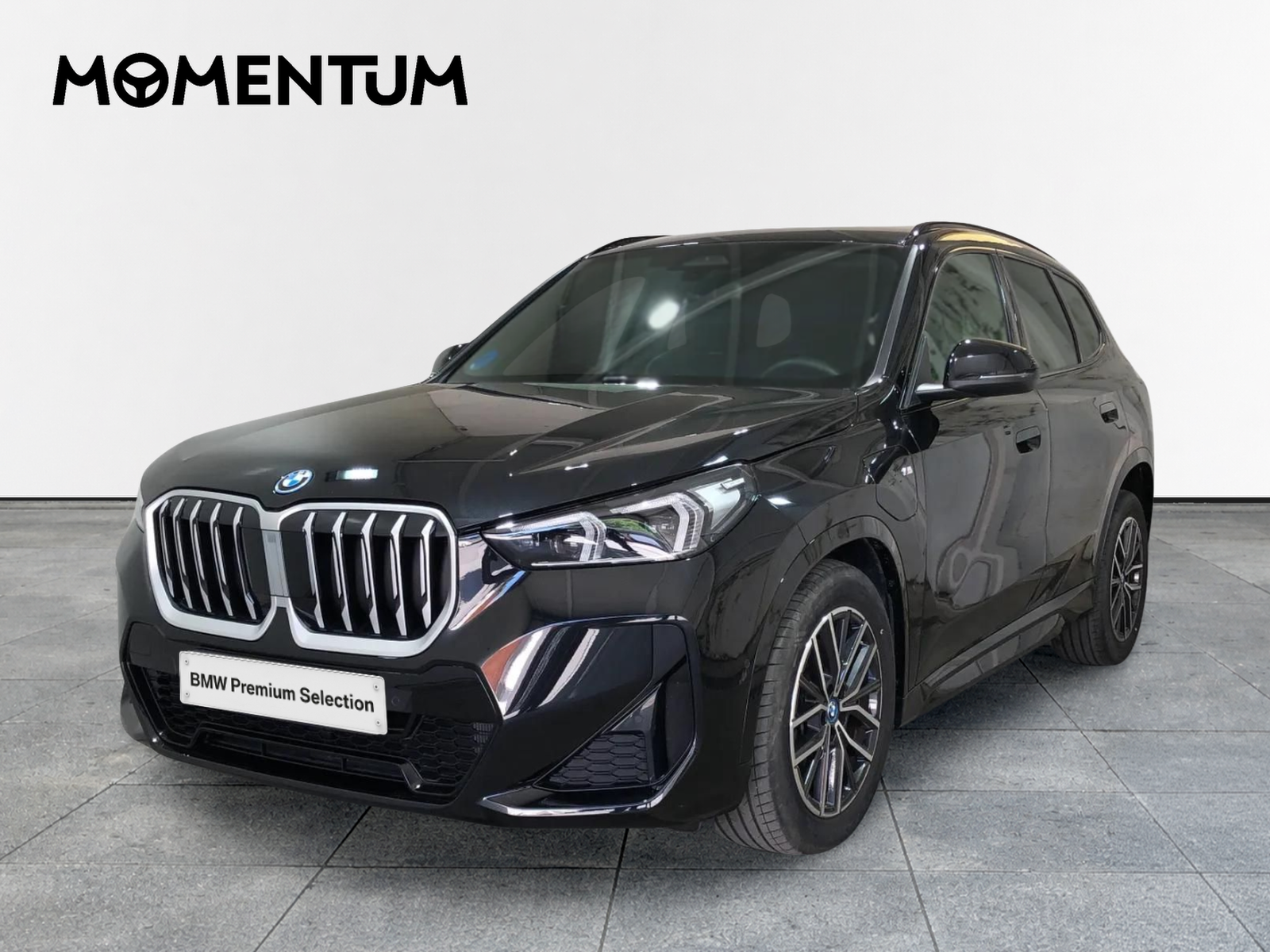 BMW X1 xDrive25e 180 kW (245 CV)