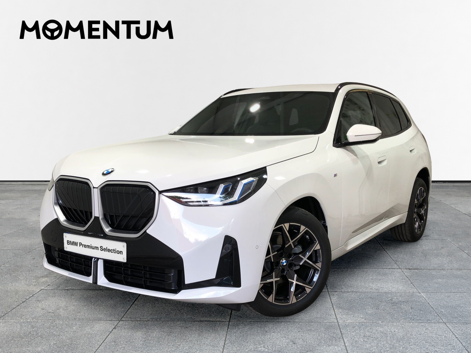 BMW X3 xDrive20d 145 kW (197 CV)