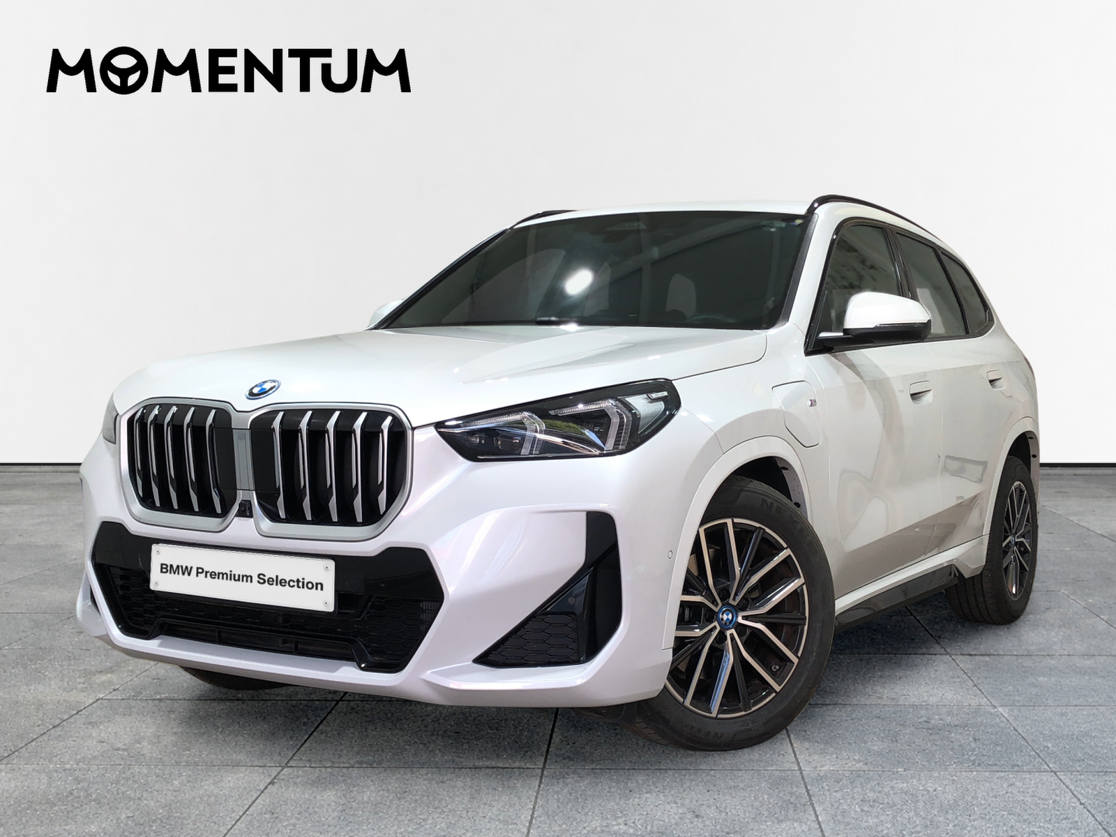 BMW X1 xDrive25e 180 kW (245 CV)