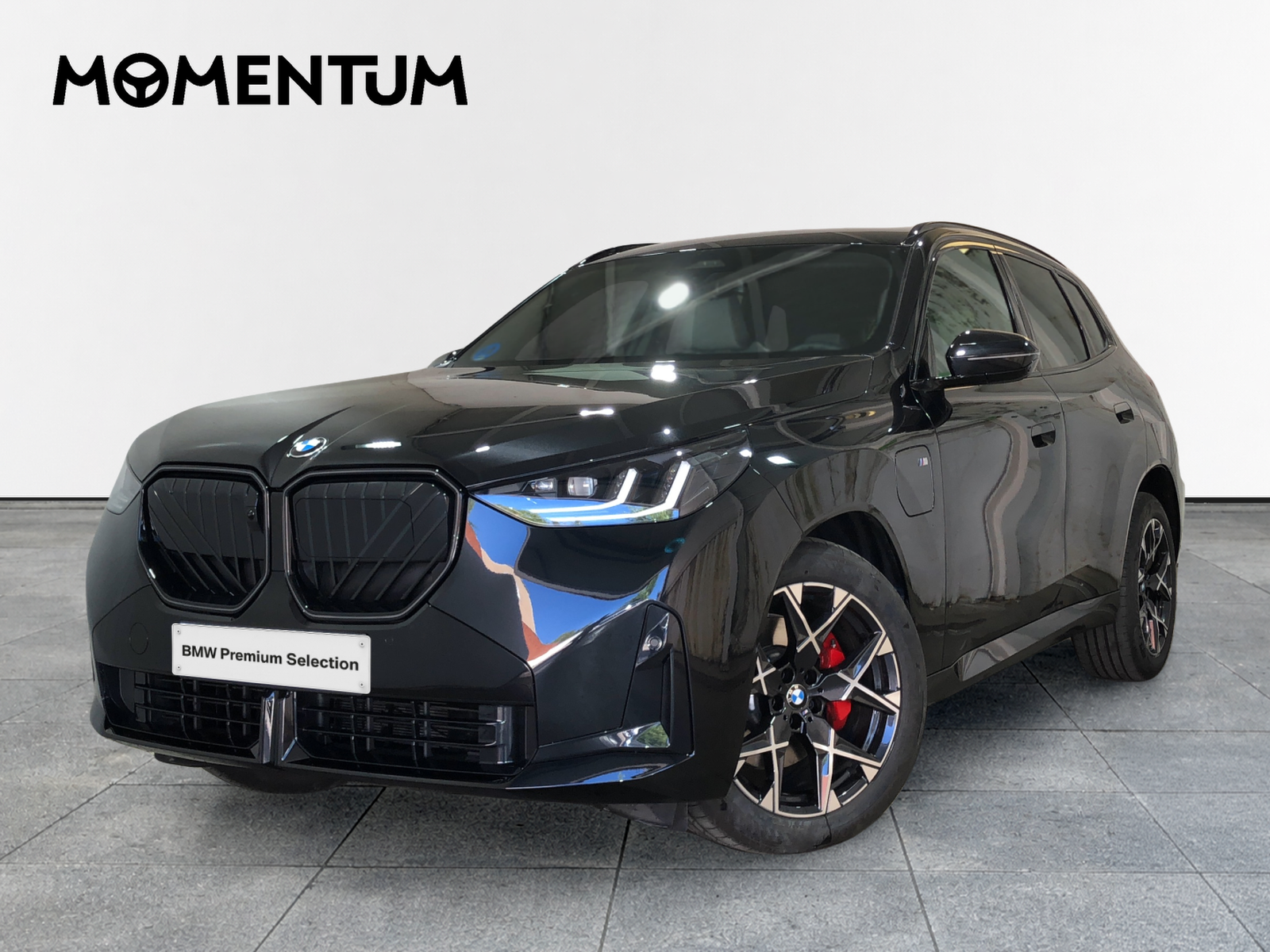 BMW X3 xDrive30e 220 kW (299 CV)