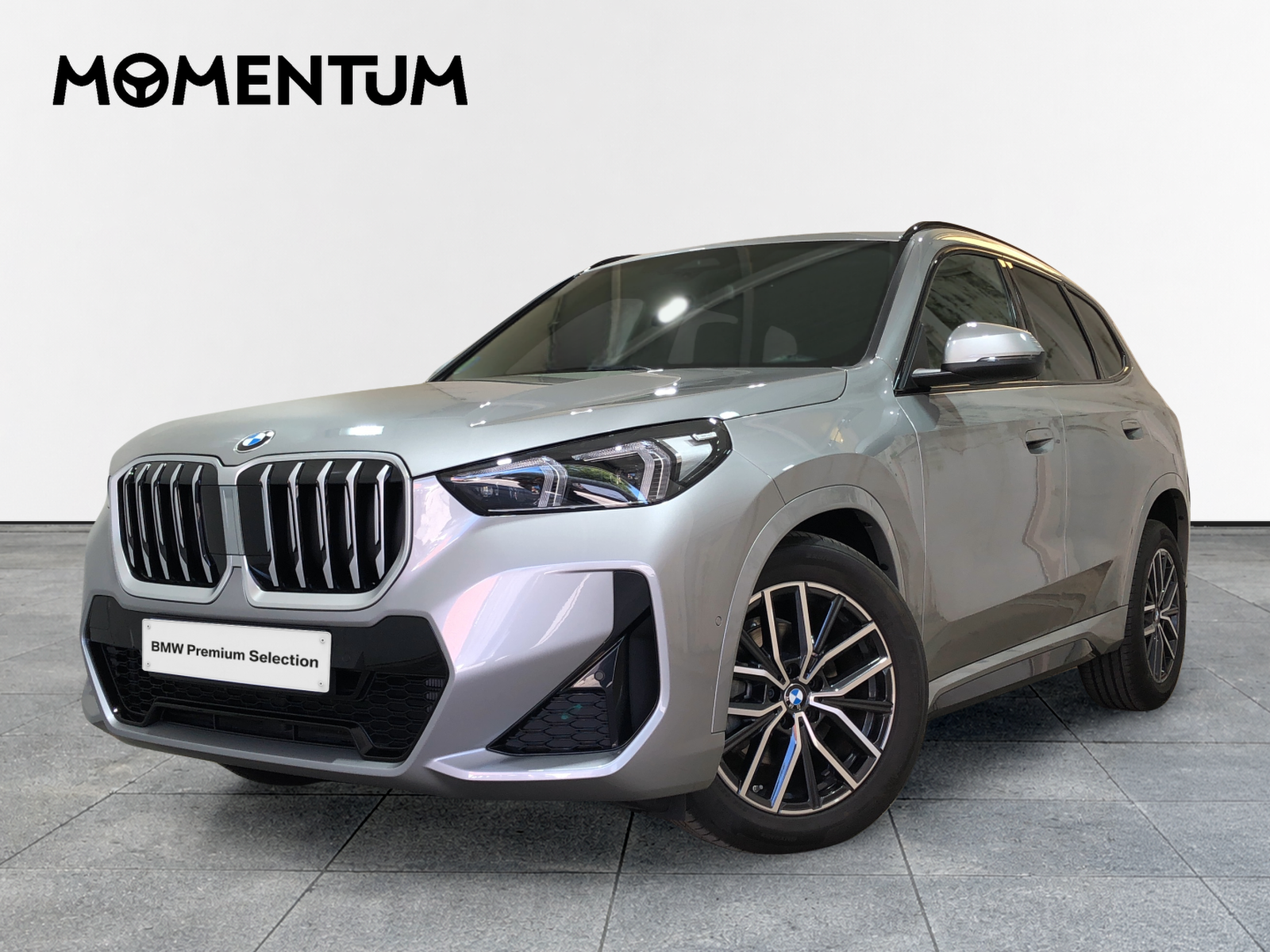 BMW X1 sDrive20d 120 kW (163 CV)