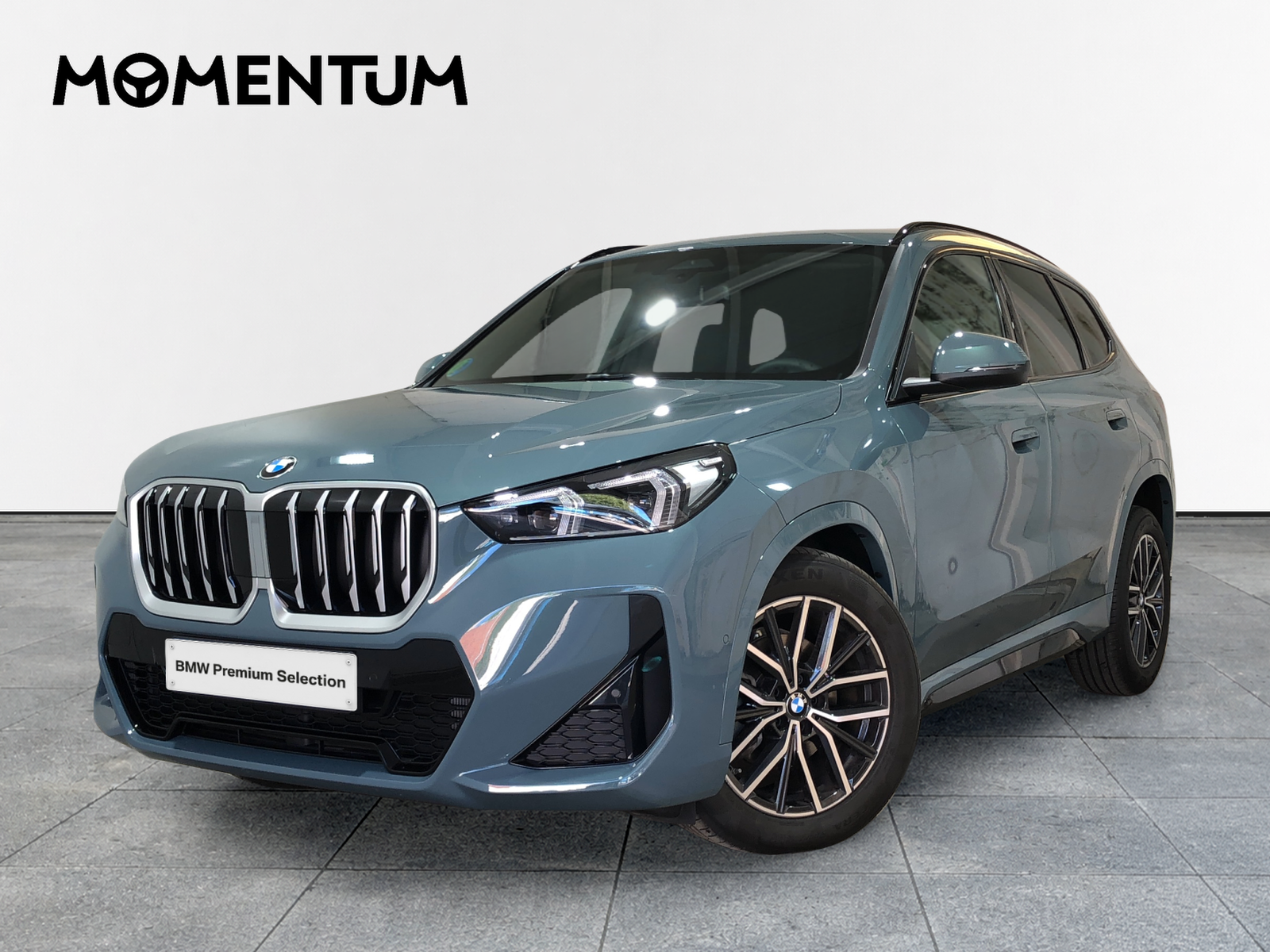 BMW X1 sDrive20d 120 kW (163 CV)