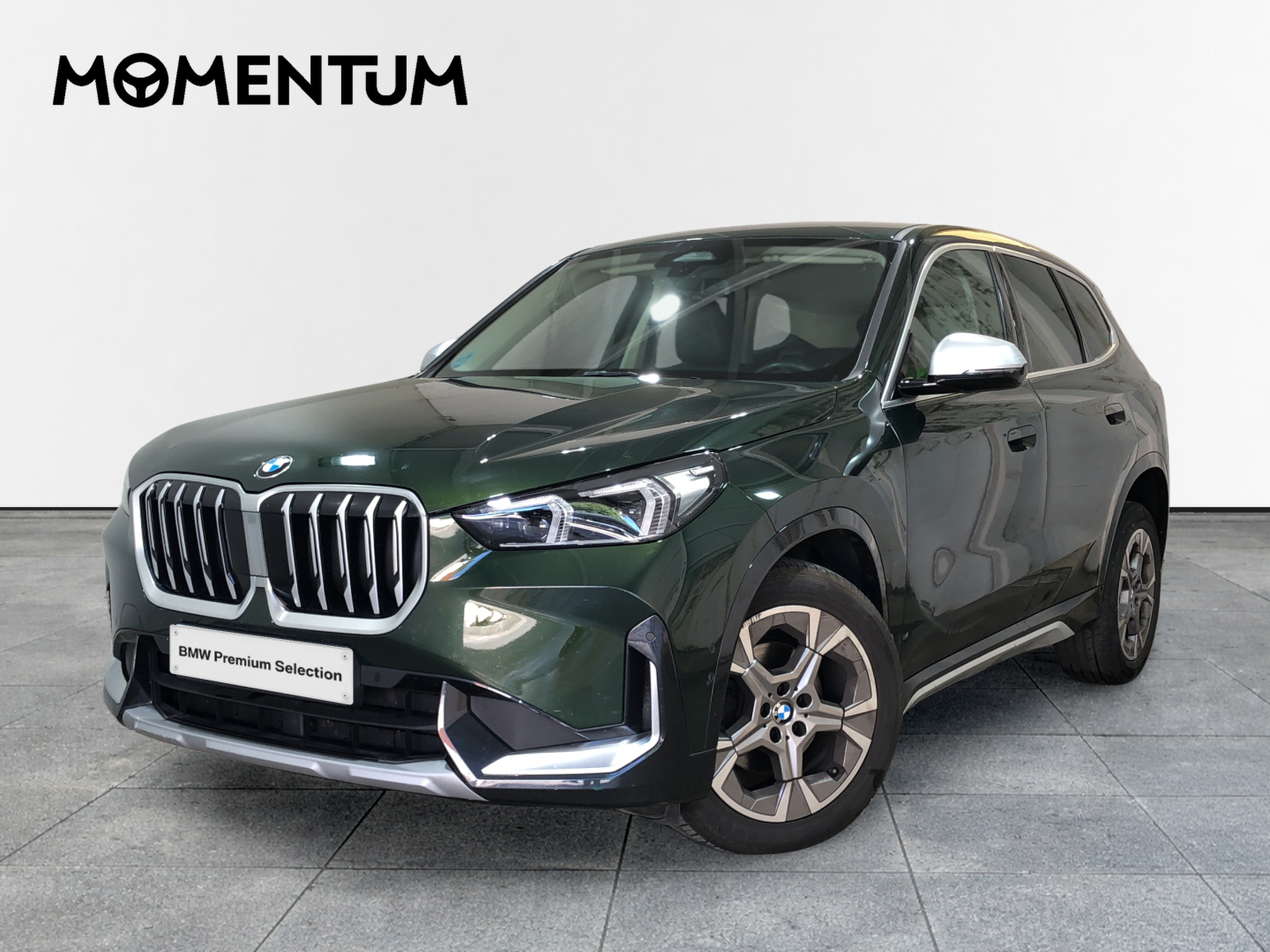 BMW X1 sDrive18i 100 kW (136 CV)