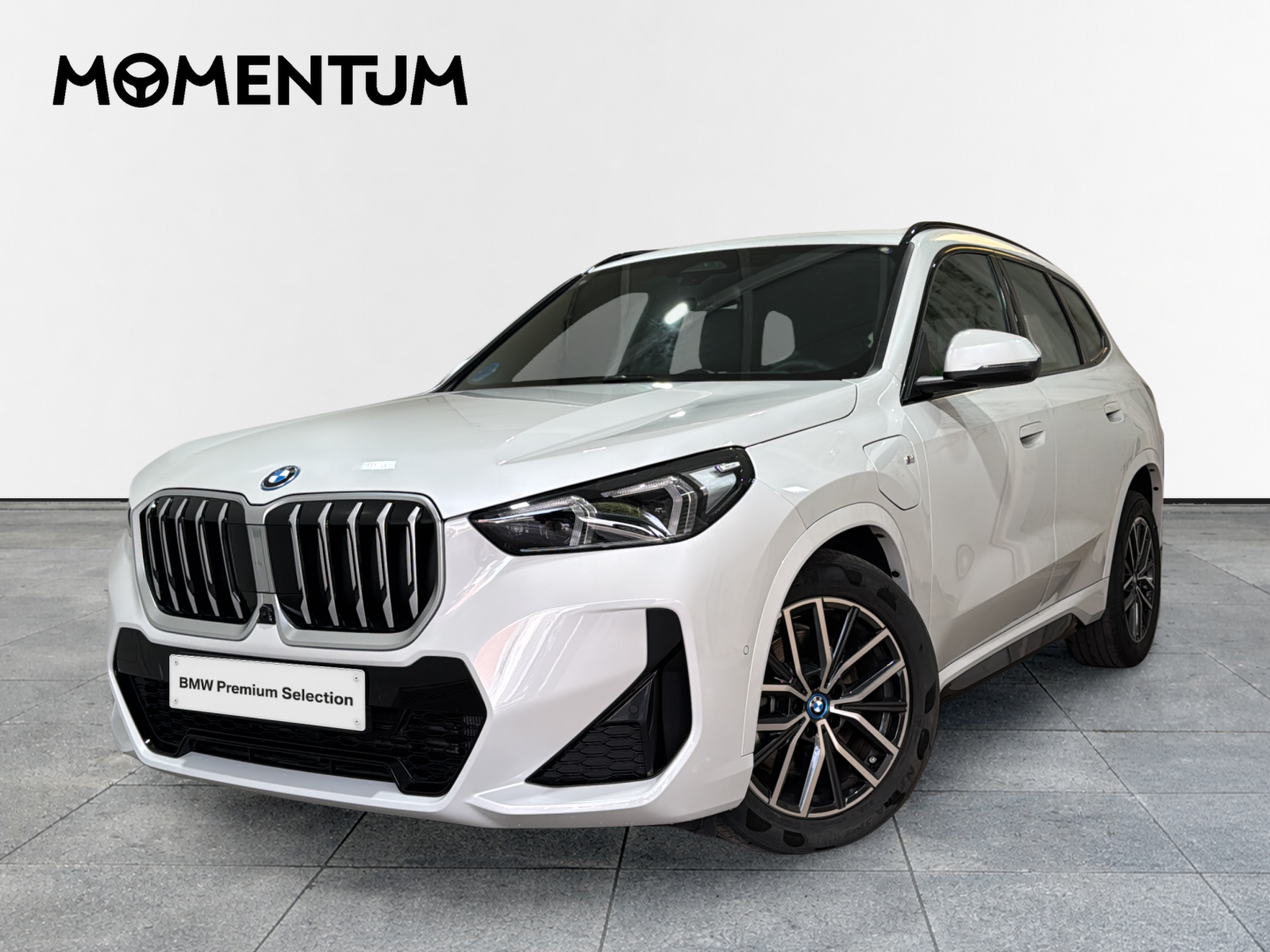 BMW X1 xDrive25e 180 kW (245 CV)