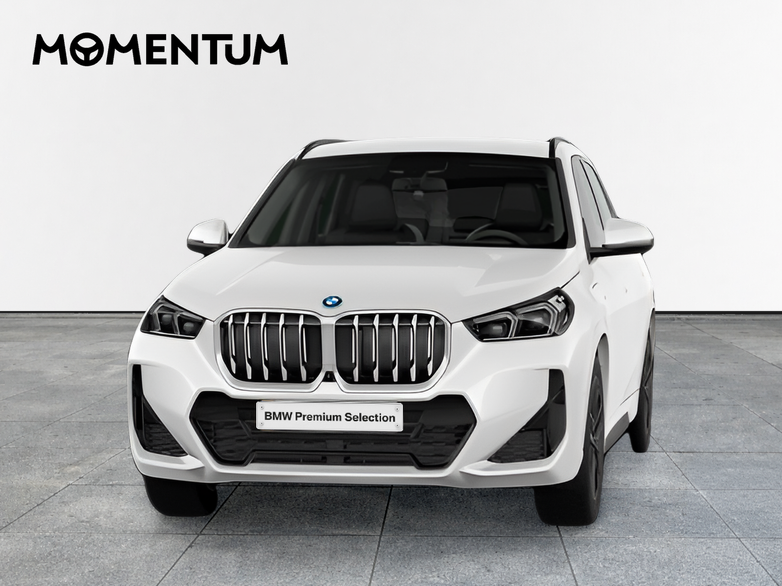 BMW X1 xDrive25e 180 kW (245 CV)