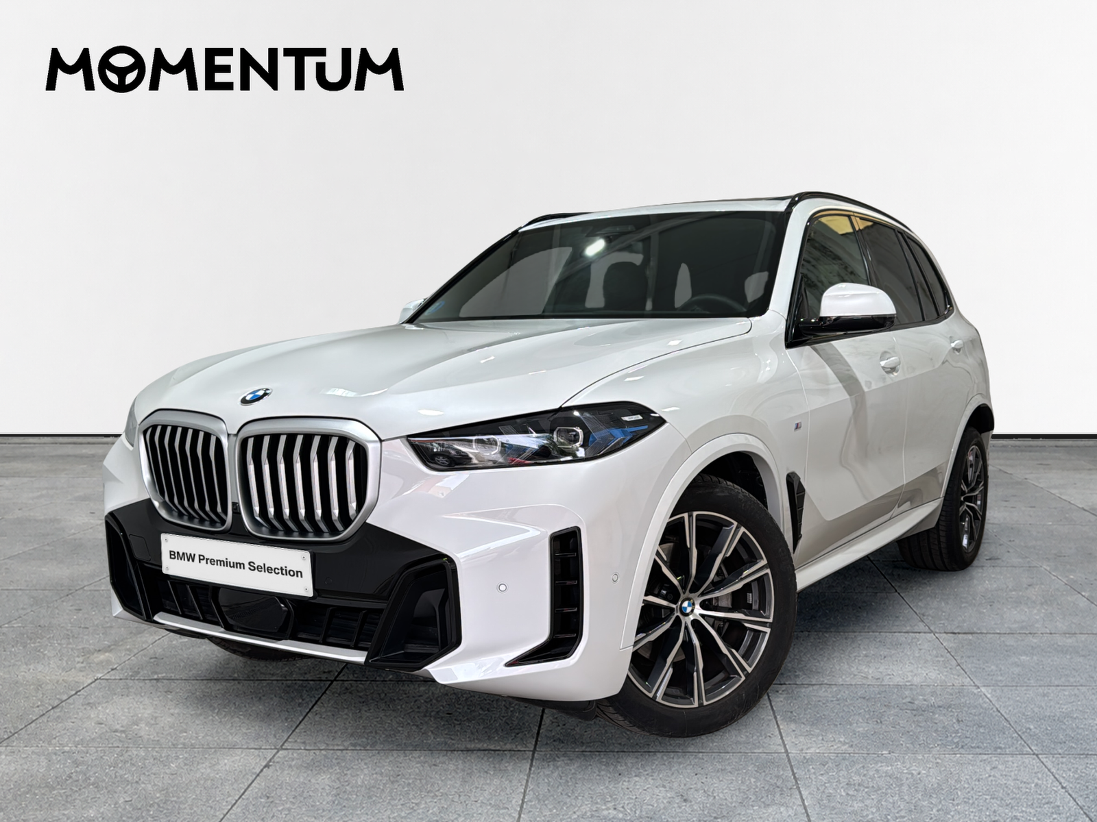 BMW X5 xDrive30d xLine 219 kW (298 CV)